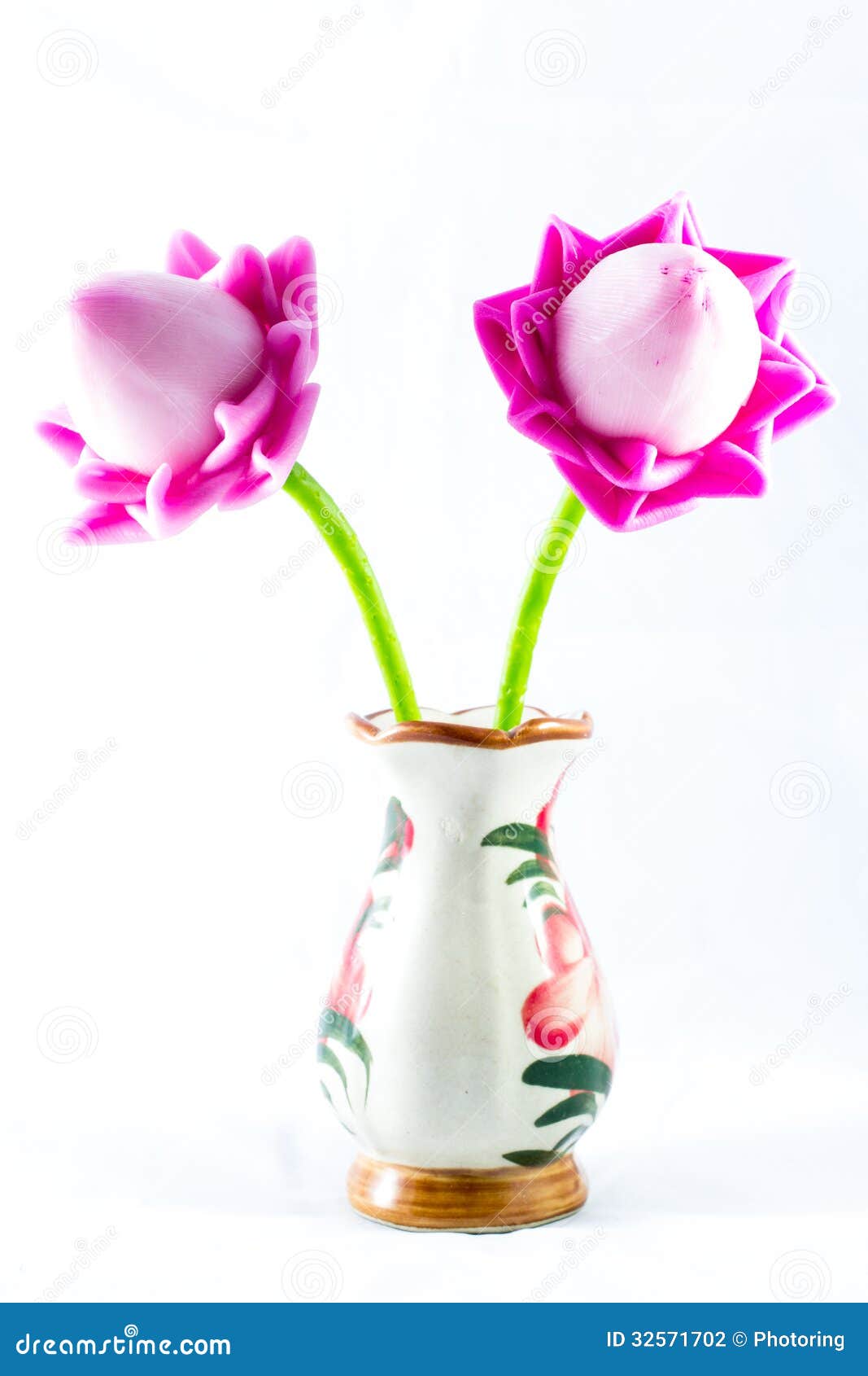 Beautiful lotus stock photo. Image of elegance, petal 32571702