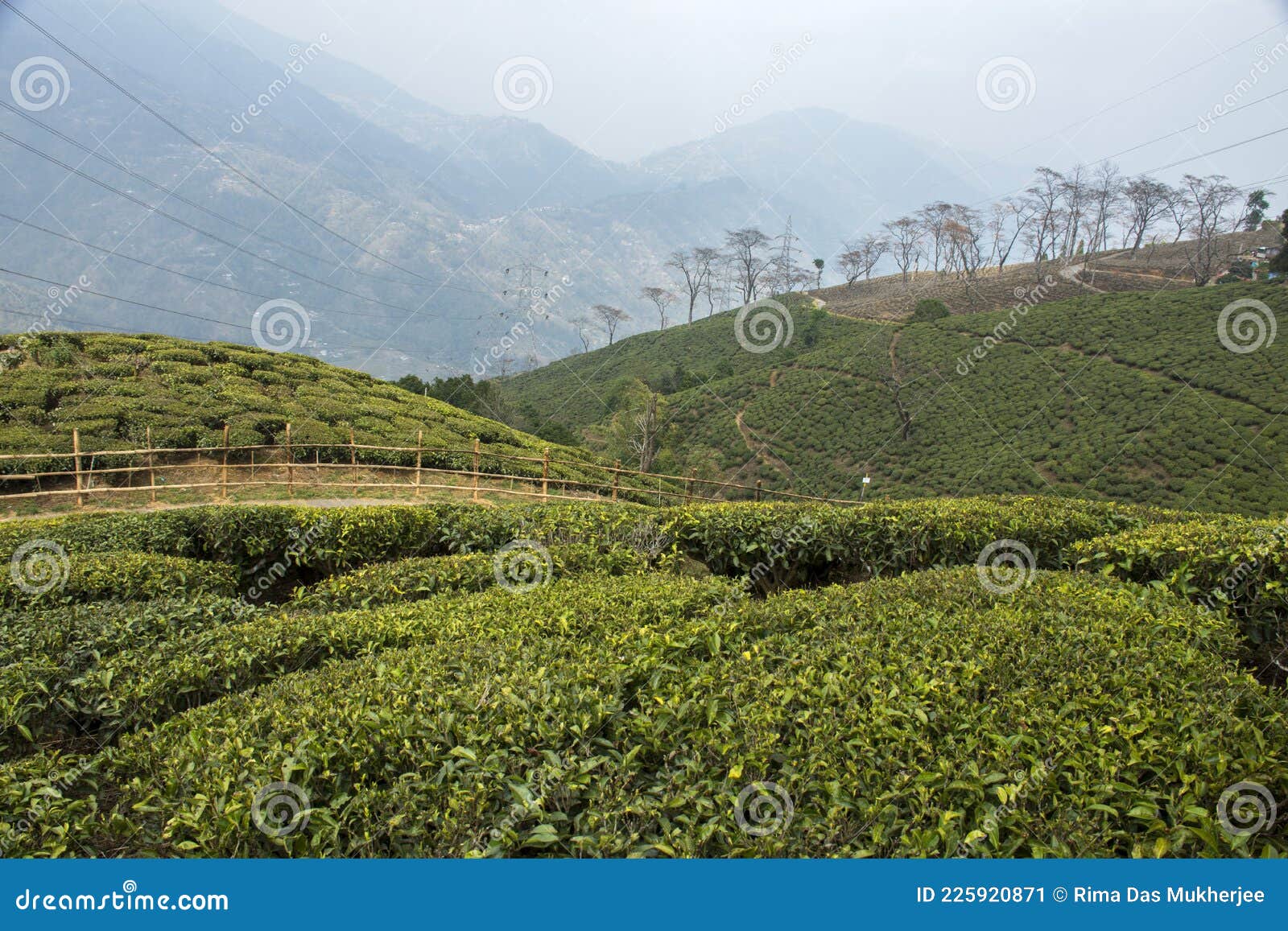 276 Darjeeling District West Bengal Stock Photos, High-Res Pictures, and Images - Getty Images