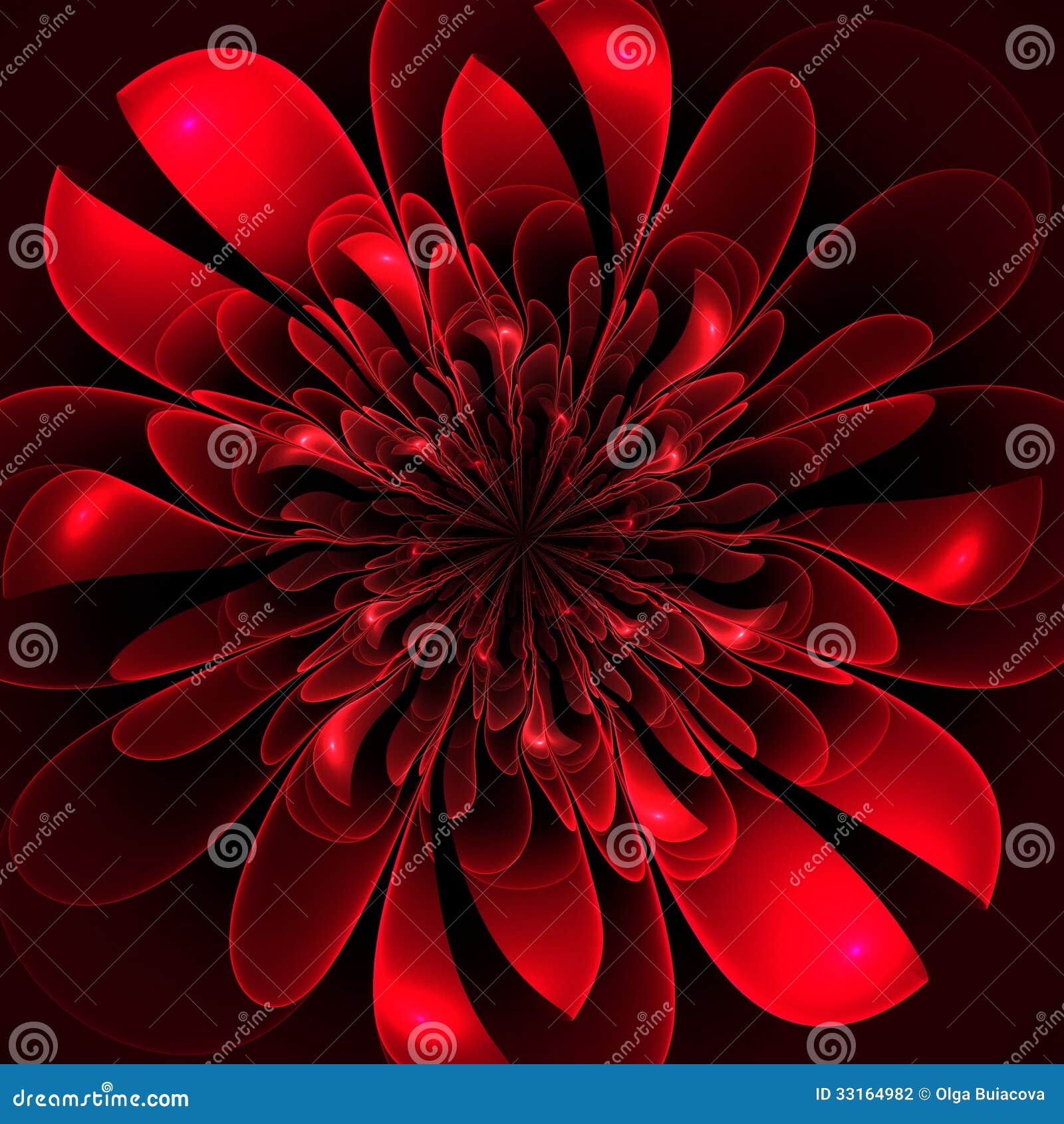 Beautiful Lush Red Flower on Black Background. Stock Illustration