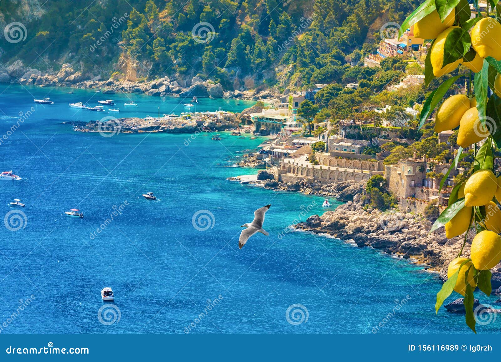 beautiful marina piccola with rocky shore and clear blue sea, capri island, italy