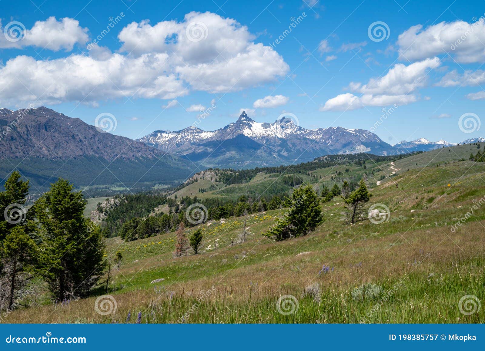 beautiful meadow along the beartooth highway, lookout out at the absaroka range