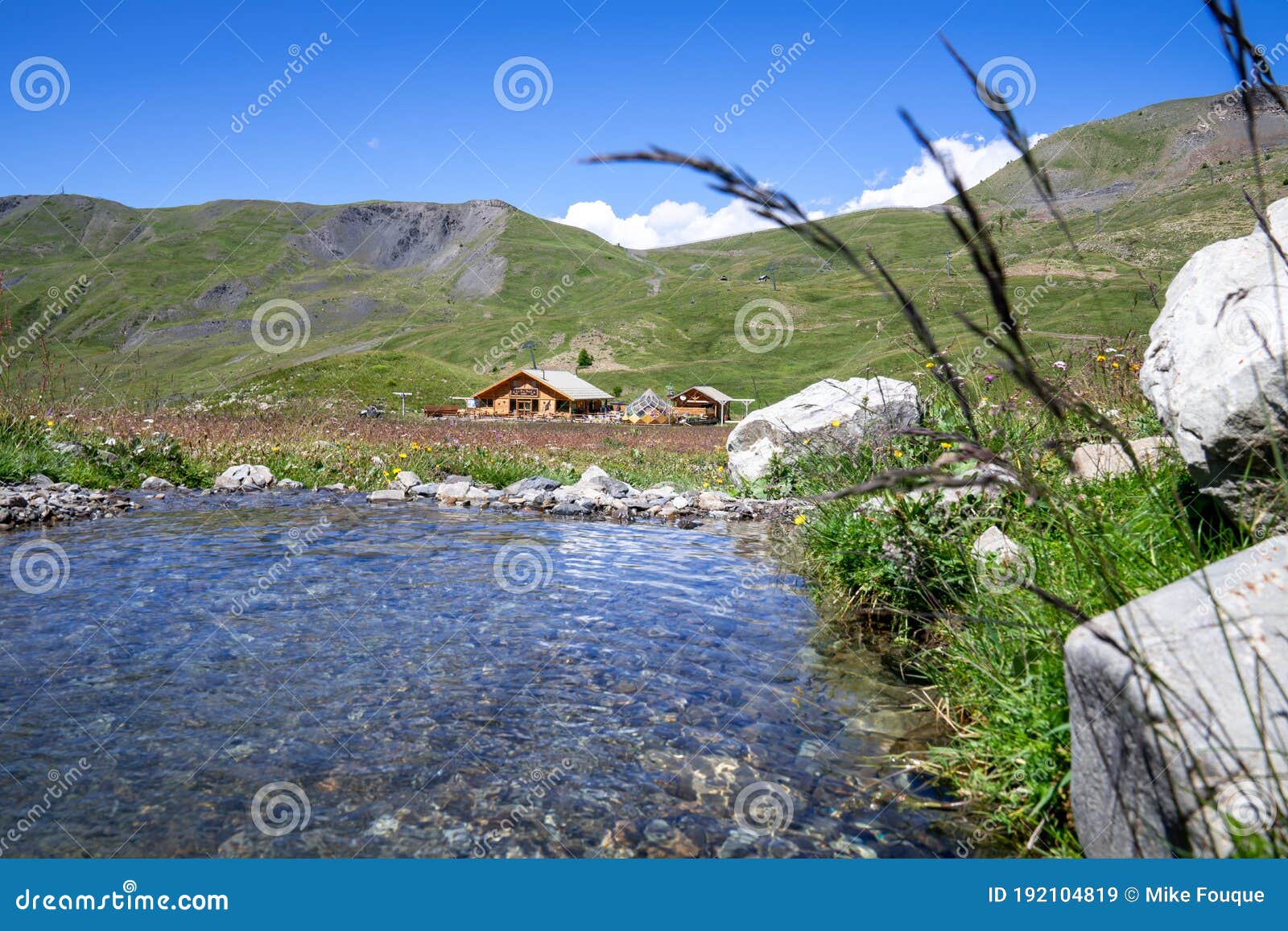 beautiful meadow with a little stream of water at summer