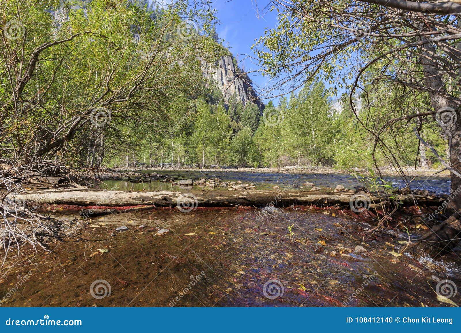 The Beautiful Merced River in Yosemite National Park Stock Photo ...
