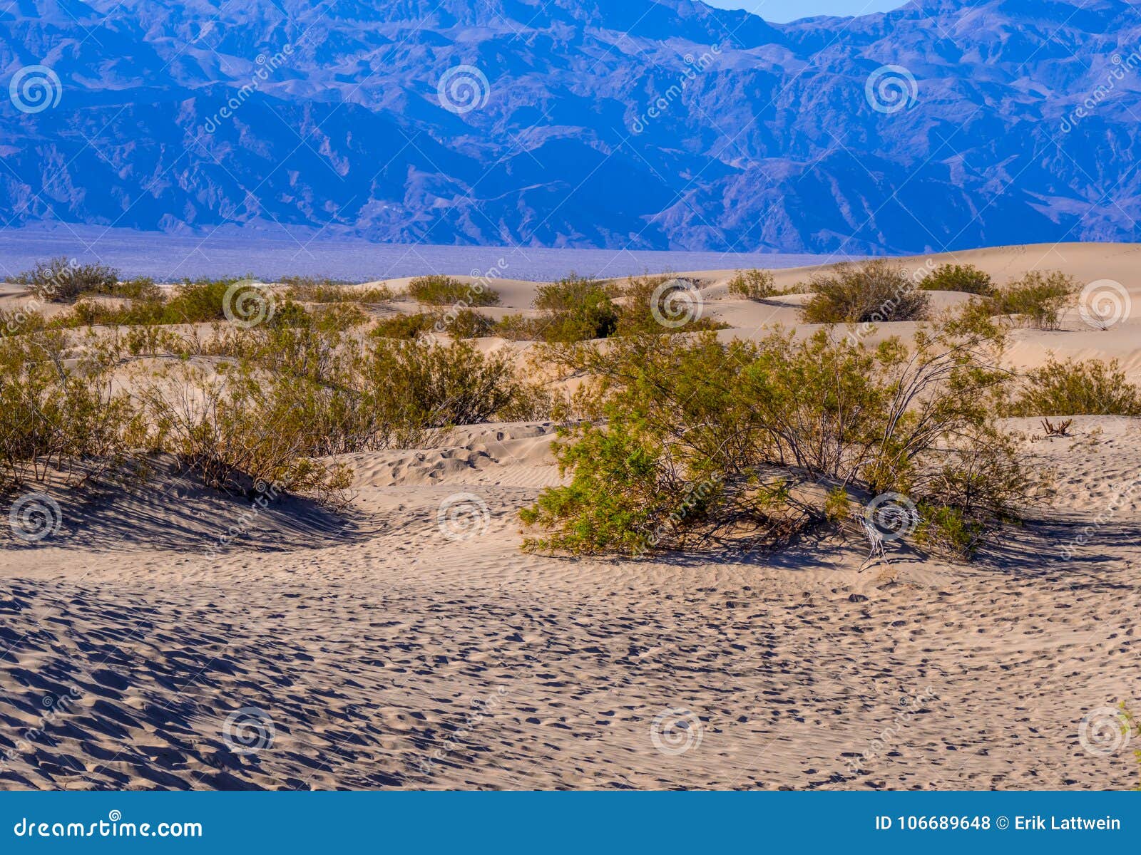 Beautiful Mesquite Sand Dunes at Death Valley California Stock Photo ...