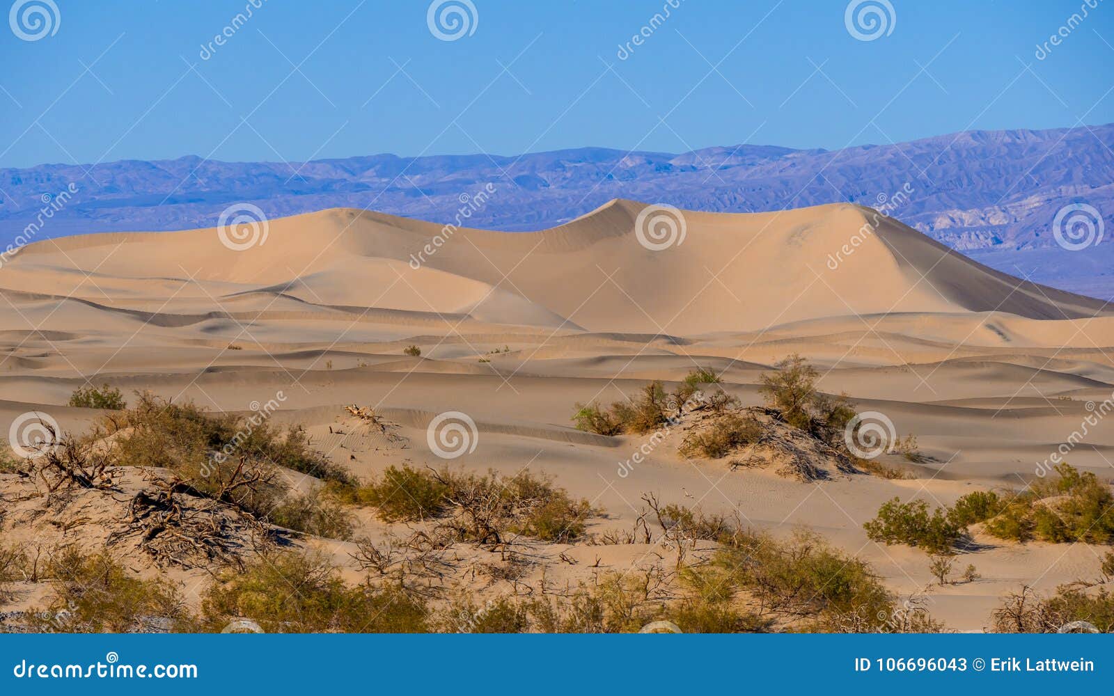 Beautiful Mesquite Sand Dunes at Death Valley California Stock Image ...