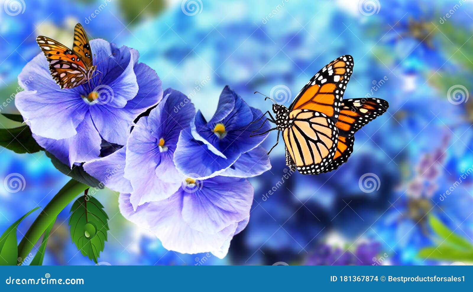Butterfly on Flowers with Blurry Natural Background. Beautiful Butterfly  Flower Images Stock Photo - Image of white, yellow: 181367874