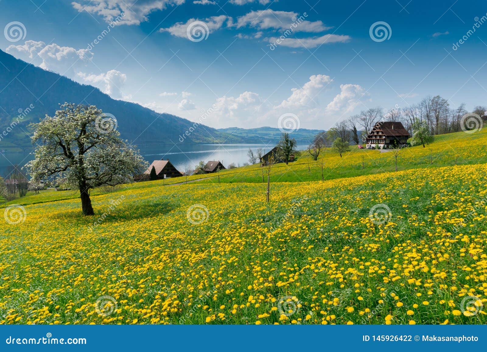 Beautiful Mountain And Lake Landscape In The Springtime With Flowers