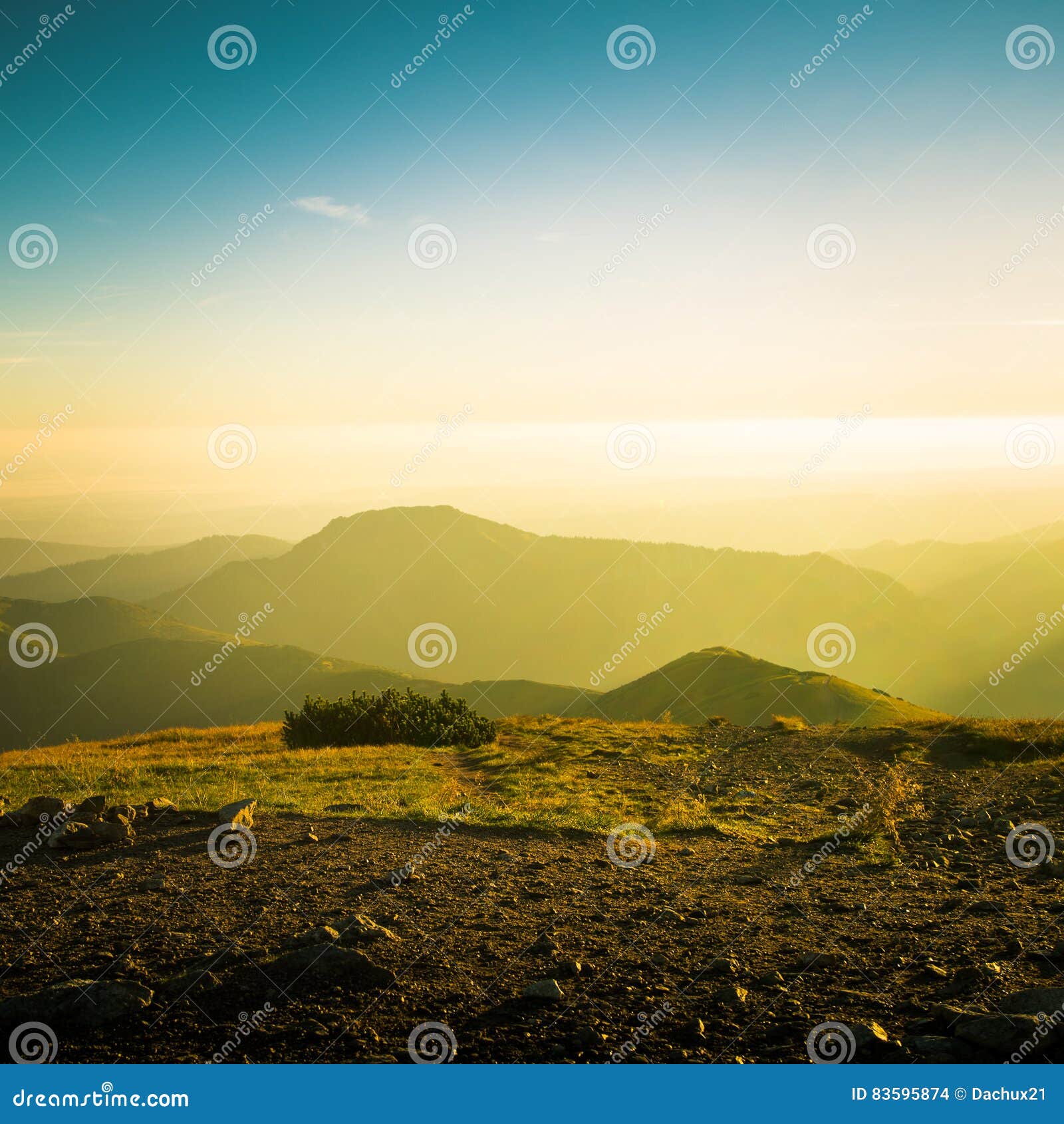 My Image 30