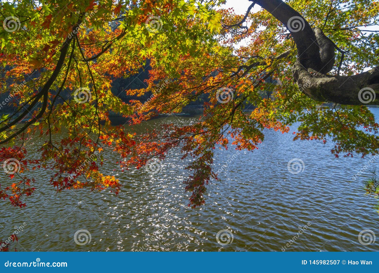 beautiful mountain lu geopark landscape in late autumn