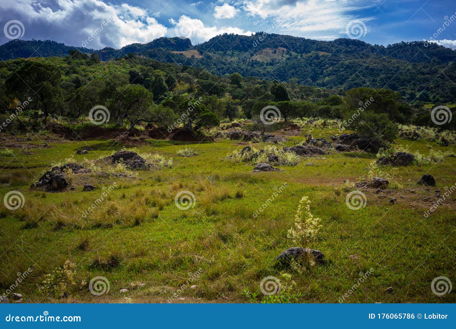 beautiful mountainous landscape in estado de mexico mexico