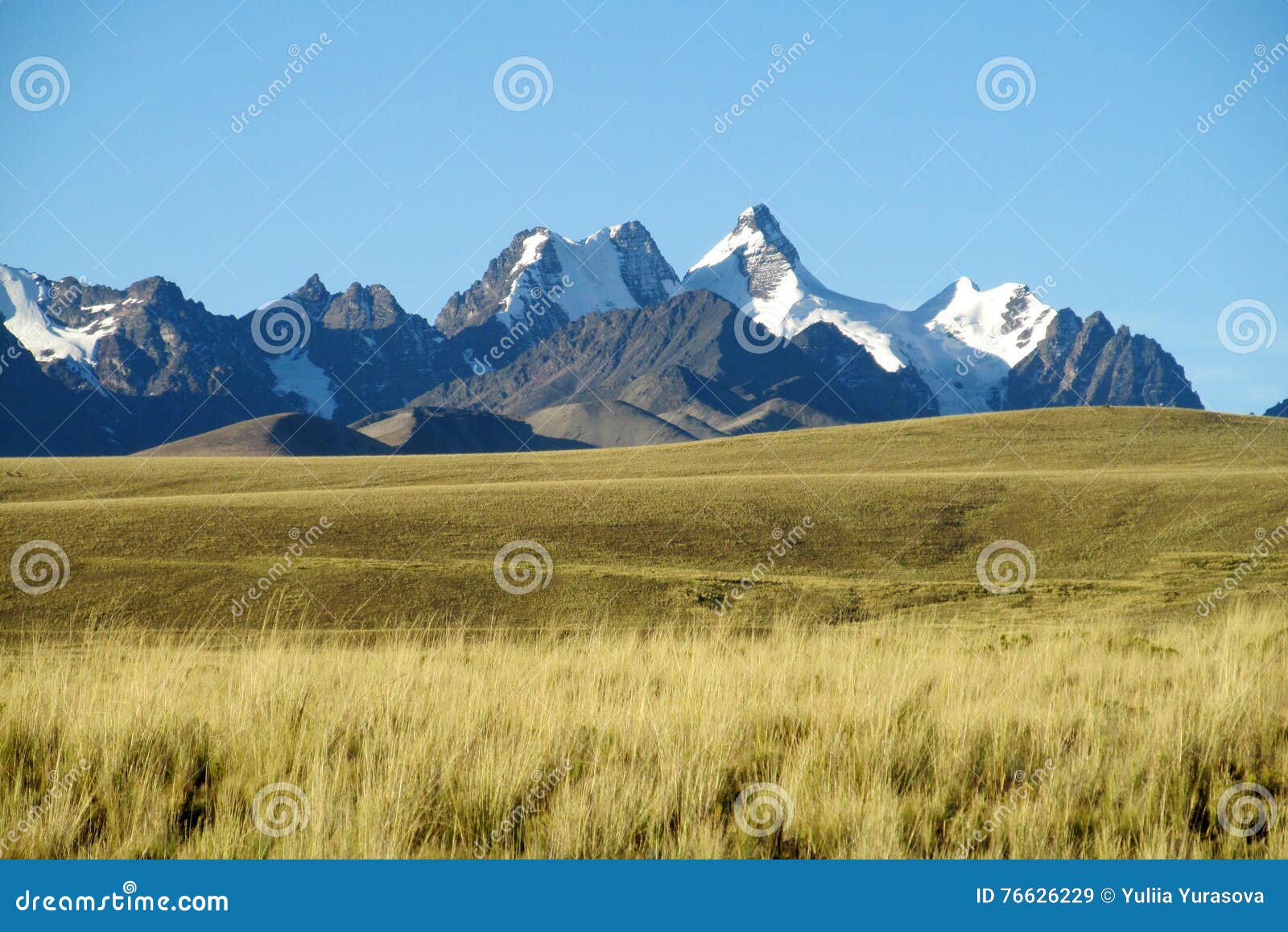 Beautiful Mountains View Across the Field in the Andes, Cordillera Real ...