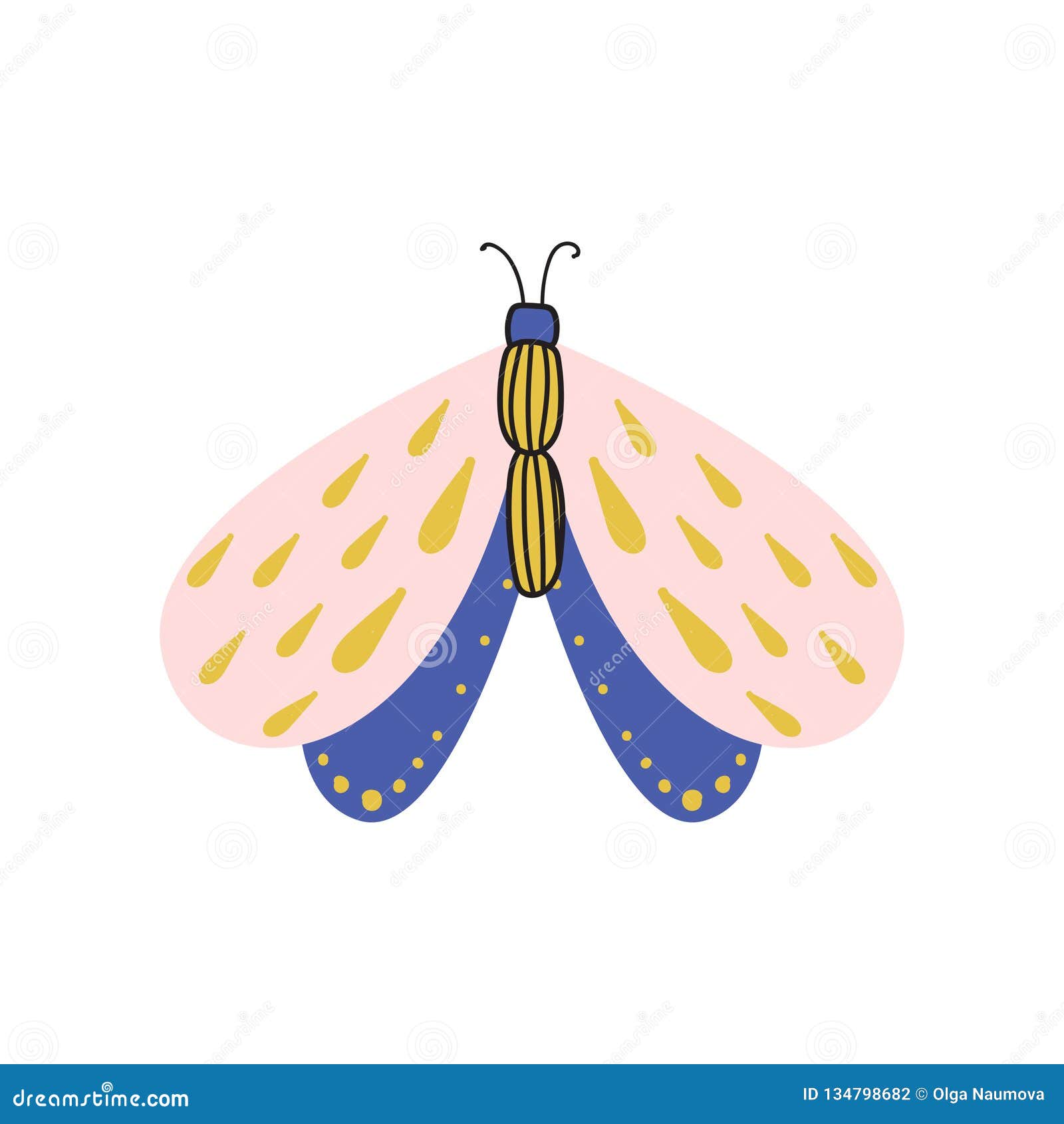 Download Beautiful, Multi-colored Butterfly With An Unusual Shape ...