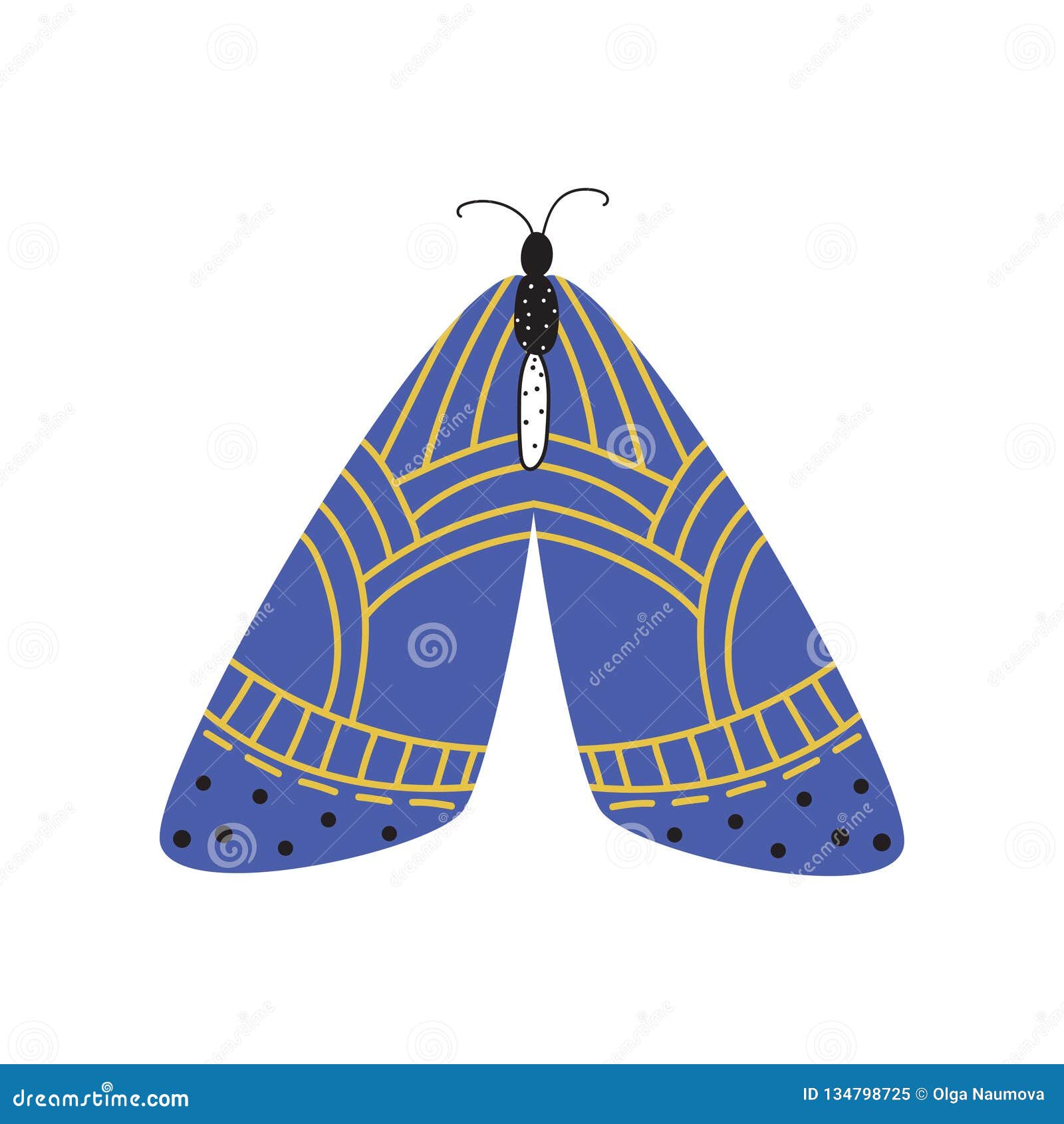 Download Beautiful, Multi-colored Butterfly With An Unusual Shape ...