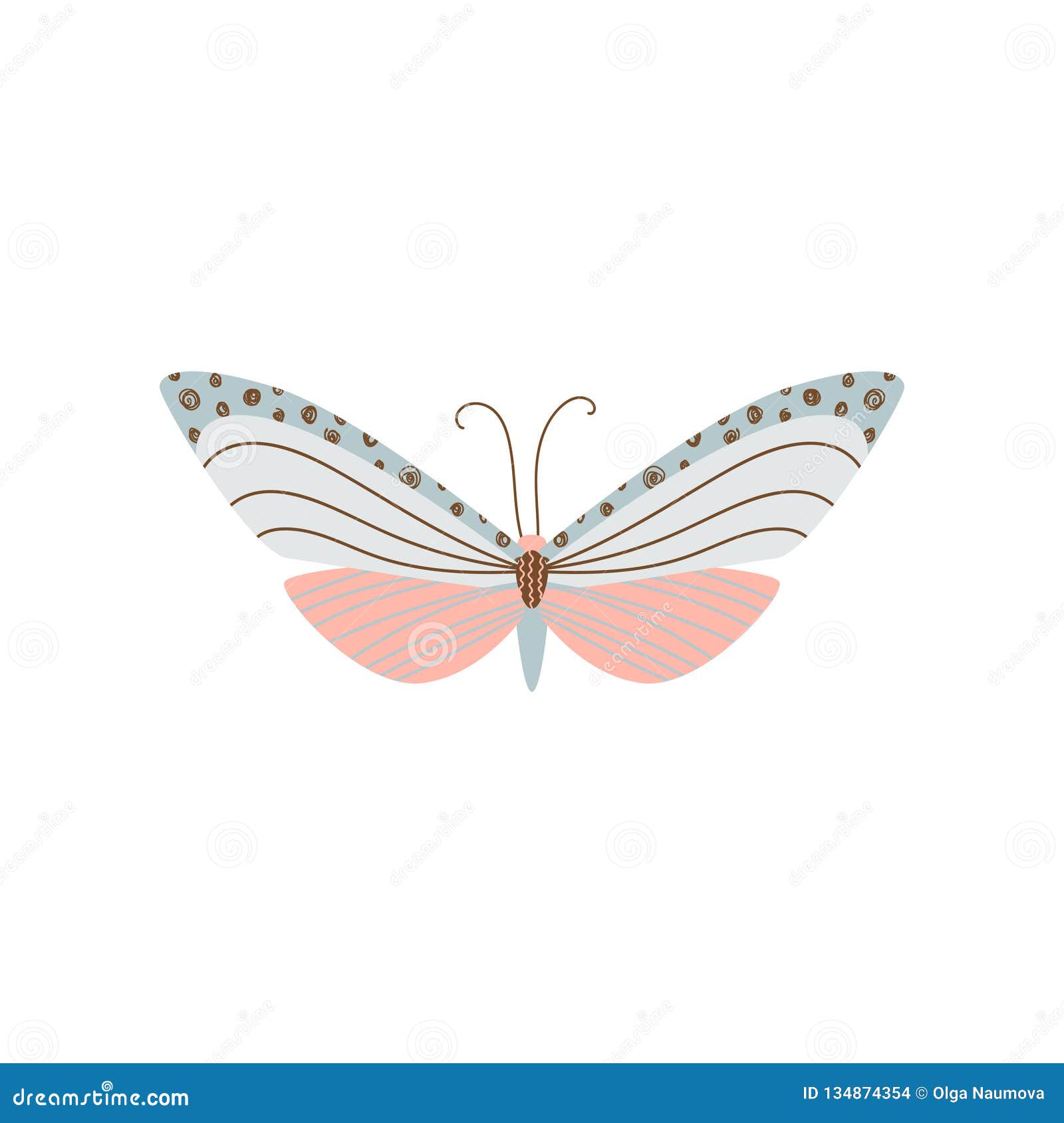 Download Beautiful, Multi-colored Butterfly With An Unusual Shape ...