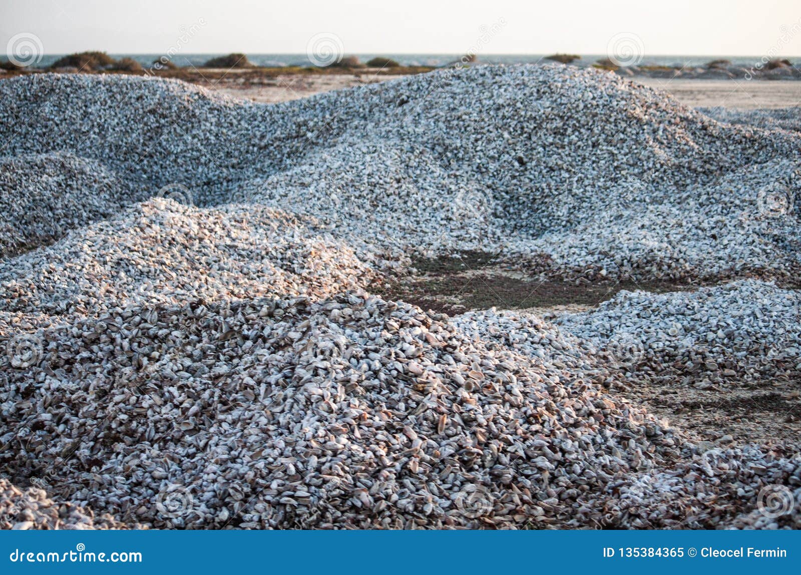 beautiful and natural hill of chipichipi shells in coche margarita island venezuela