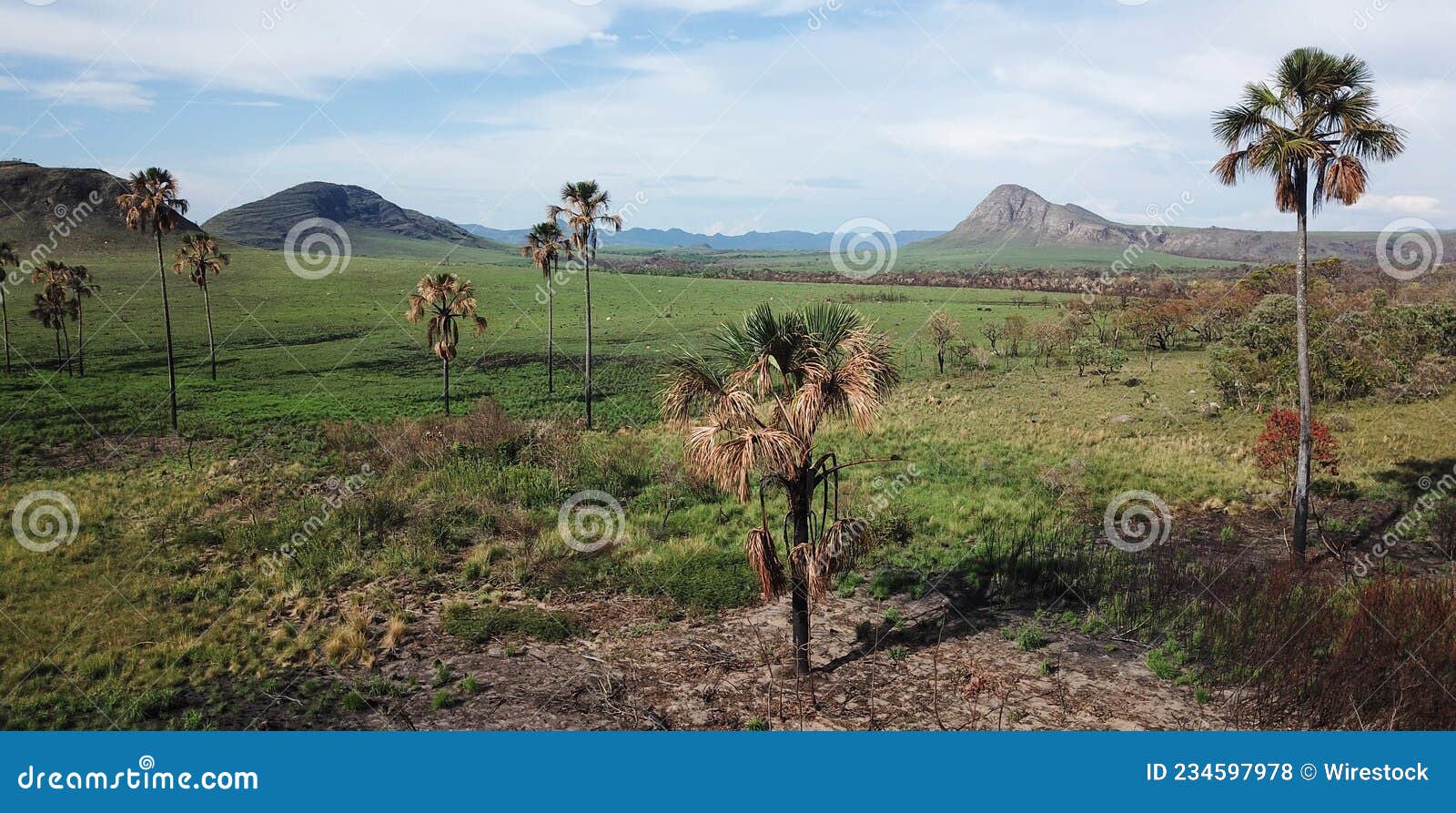 beautiful natural landscape known as jardim de maytrea in chapada dos veadeiros national park