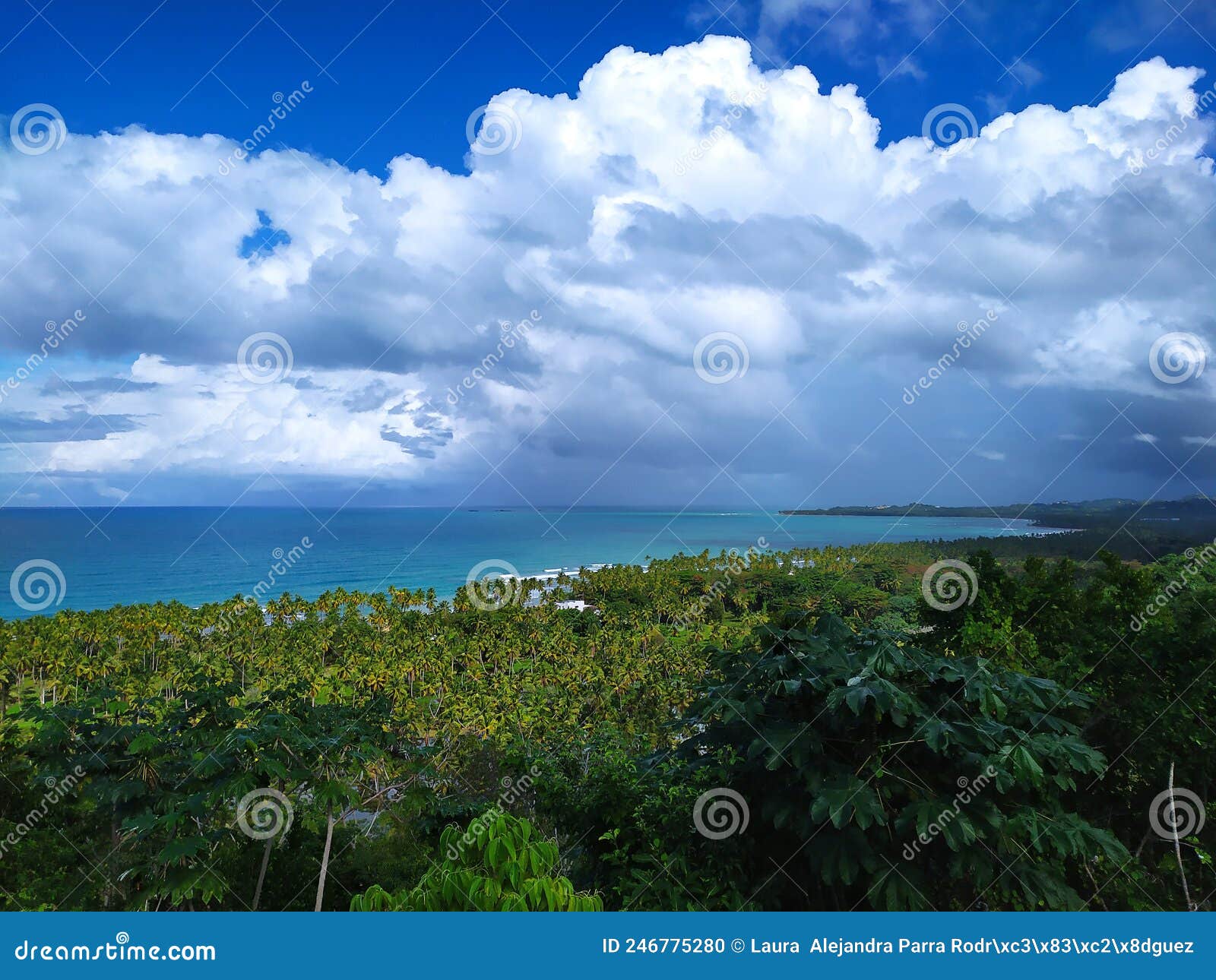 a natural and tropical landscape with beach and clouds. paisaje natural tropical con playa y nubes
