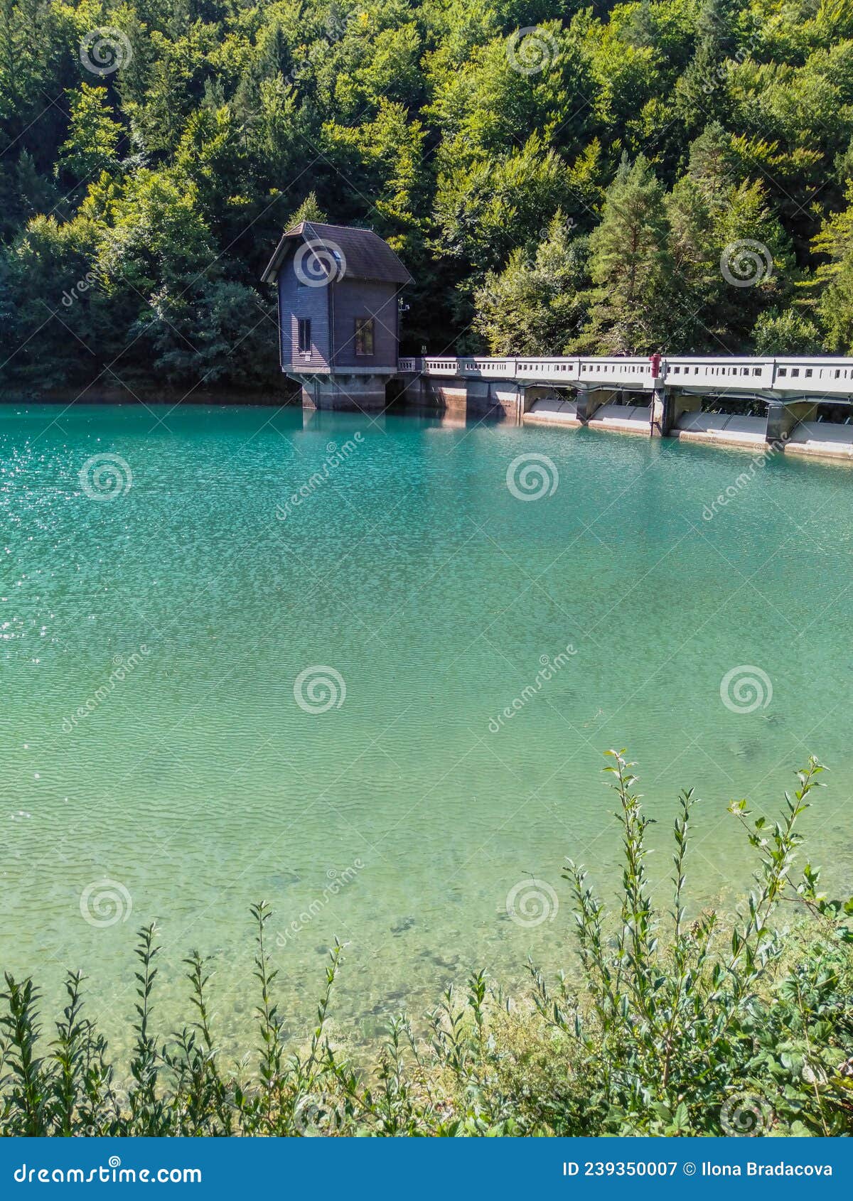 beautiful nature around bled lake, slovenia