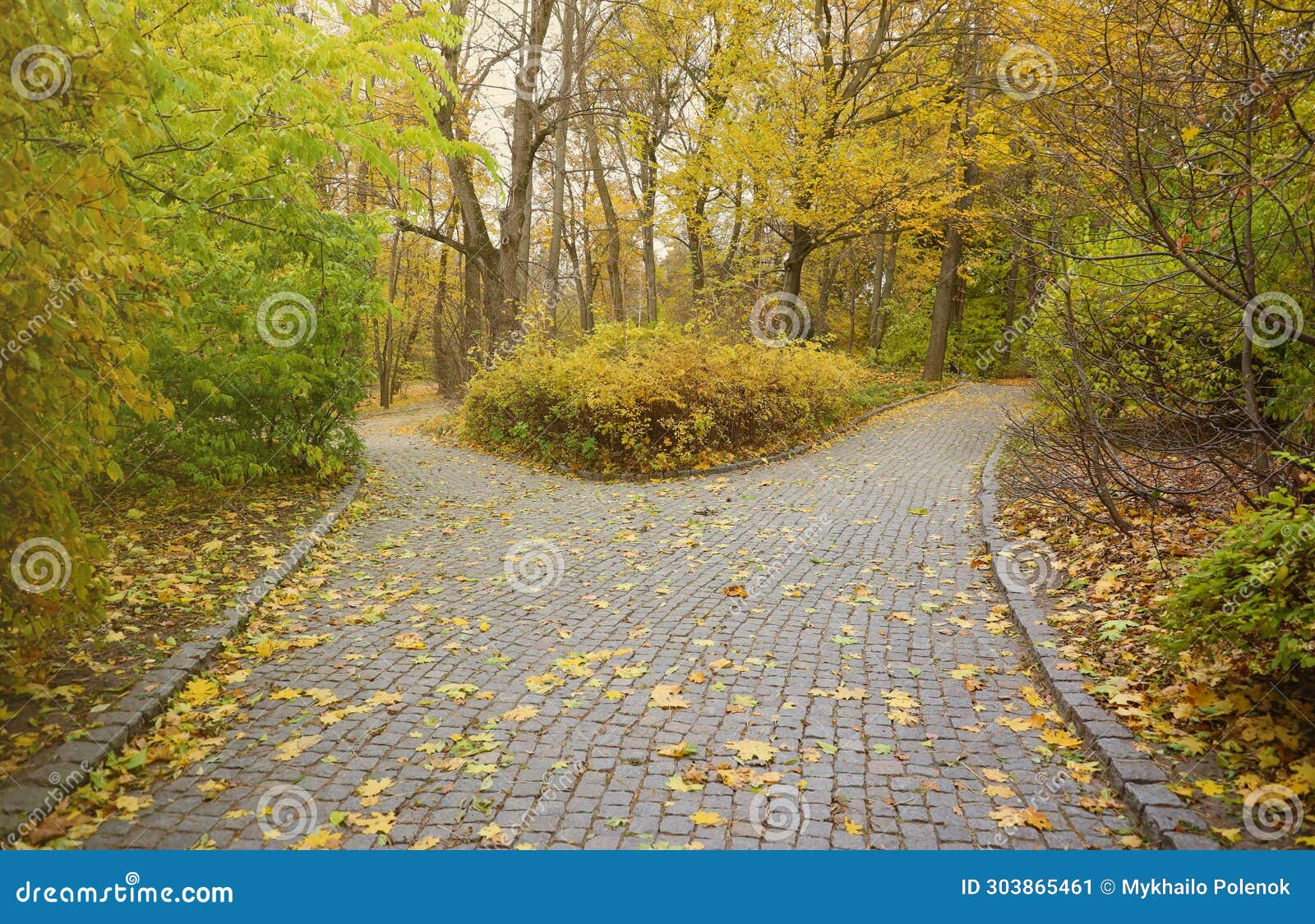 Beautiful Nature Autumn Landscape. Scenery View on Autumn City Park ...