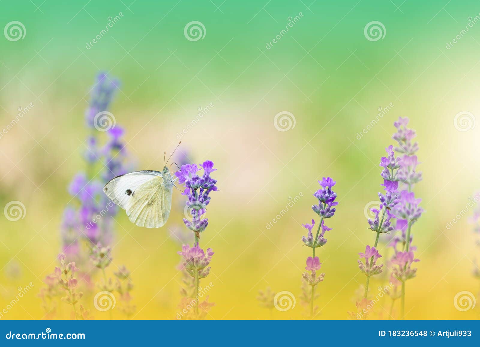 Beautiful Nature Background.Abstract Wallpaper.Celebration ...