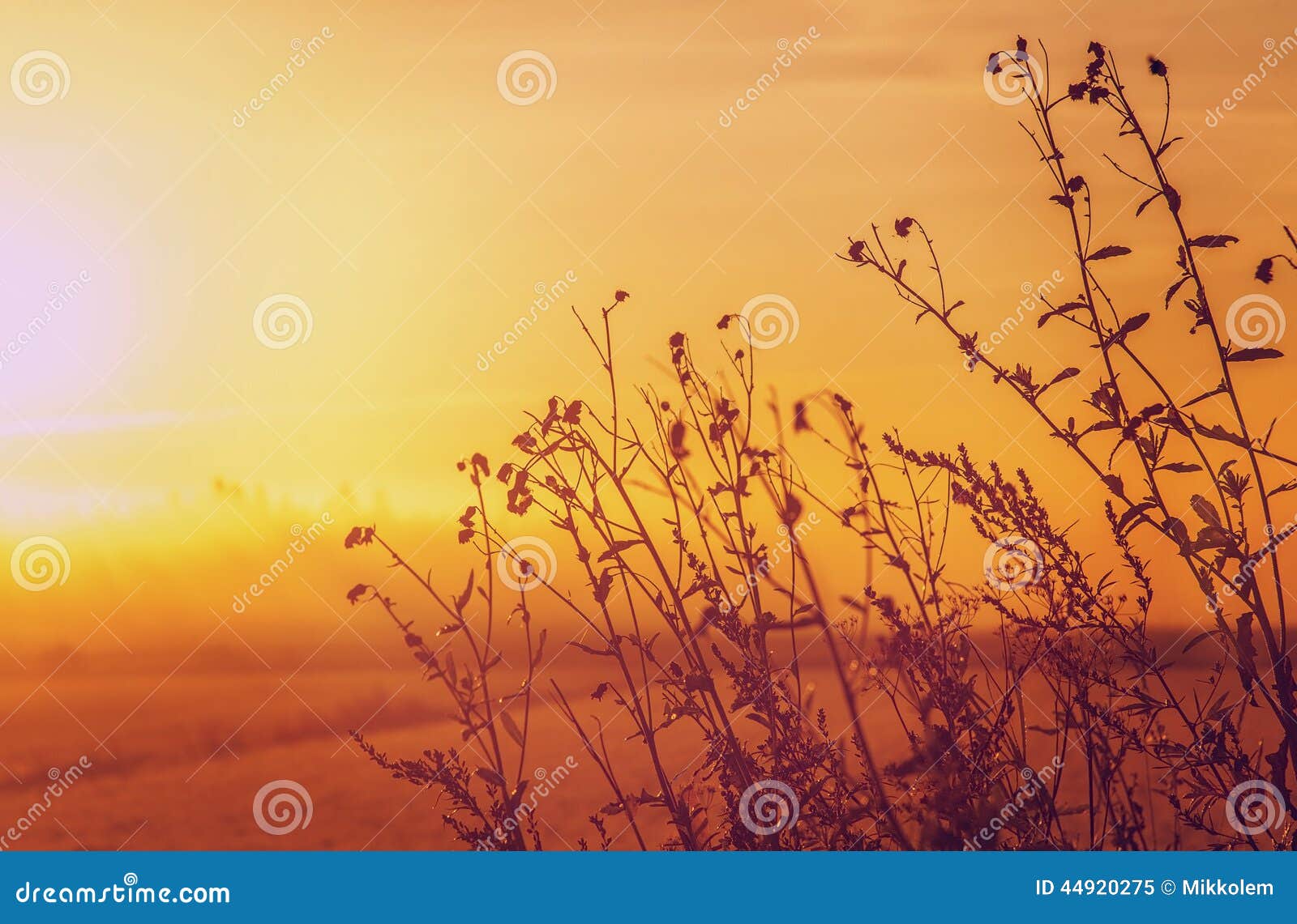 Picsart Latest Nature Editing background Text png Picsart Photo Editing