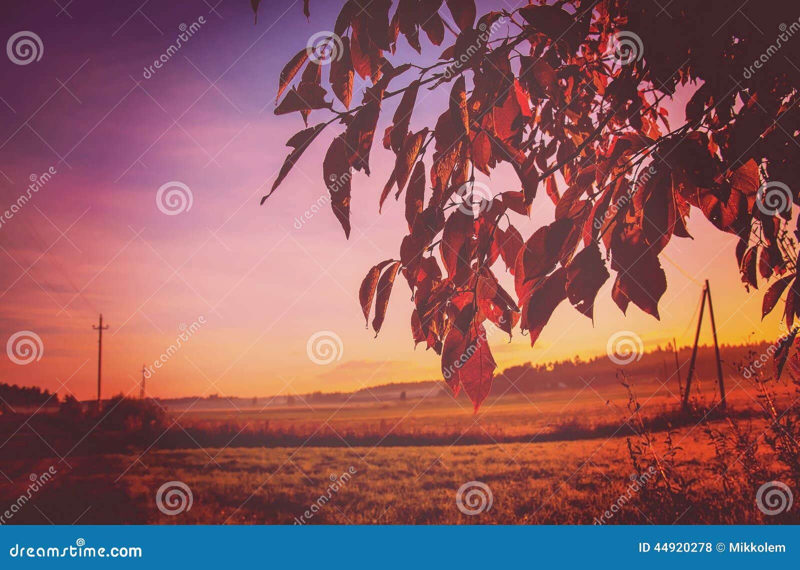 Beautiful Nature Background Stock Photo - Image of season, scene: 44920278