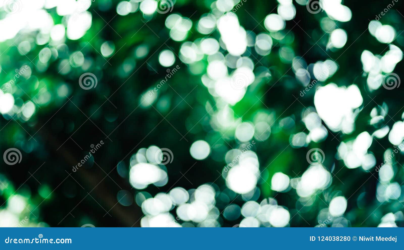 Beautiful Nature, Dark Green Background, Round Bokeh Stock Photo - Image of  green, plant: 124038280