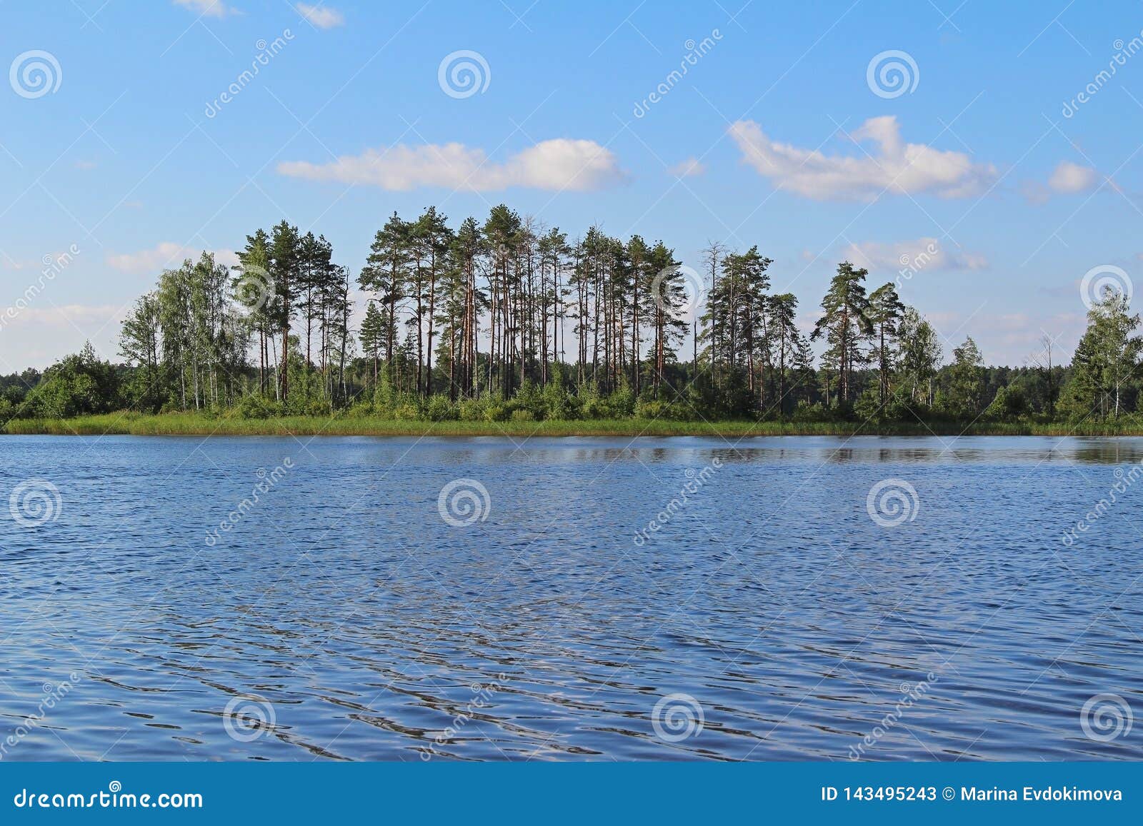 Beautiful Nature - Forest Lake with Blue Water. Beauty World, Russia