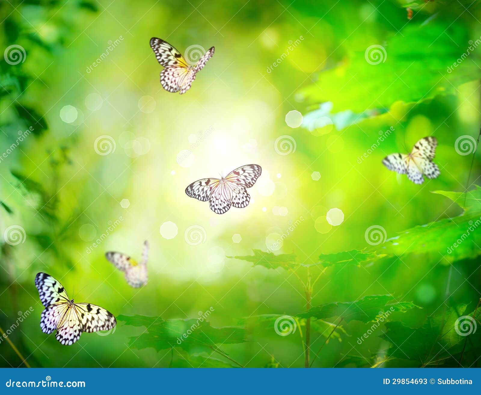 Beautiful Nature Spring Background Stock Image Image 29854693