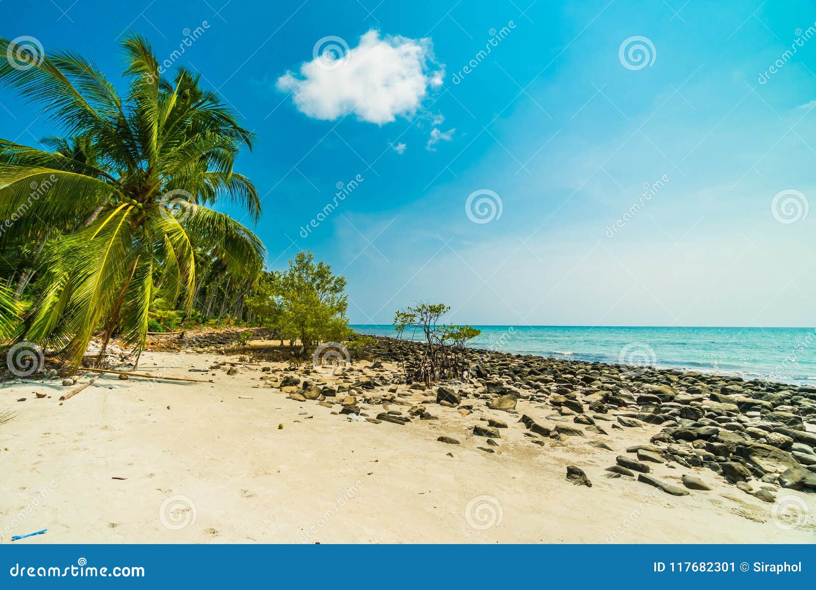 Beautiful Nature Tropical Beach And Sea With Coconut Palm Tree O Stock Image Image Of Beach