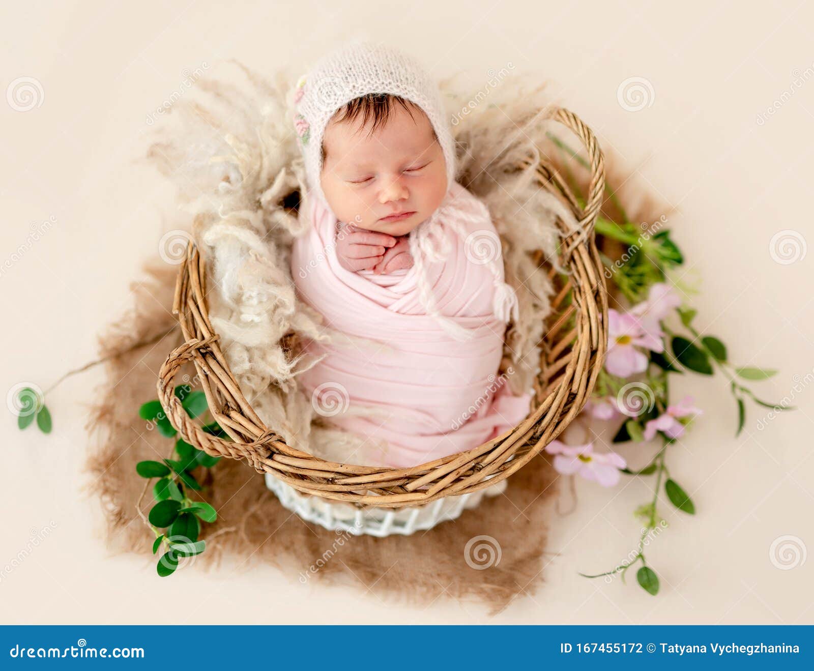 Beautiful Newborn in Basket Stock Photo Image of beautiful, lying 167455172