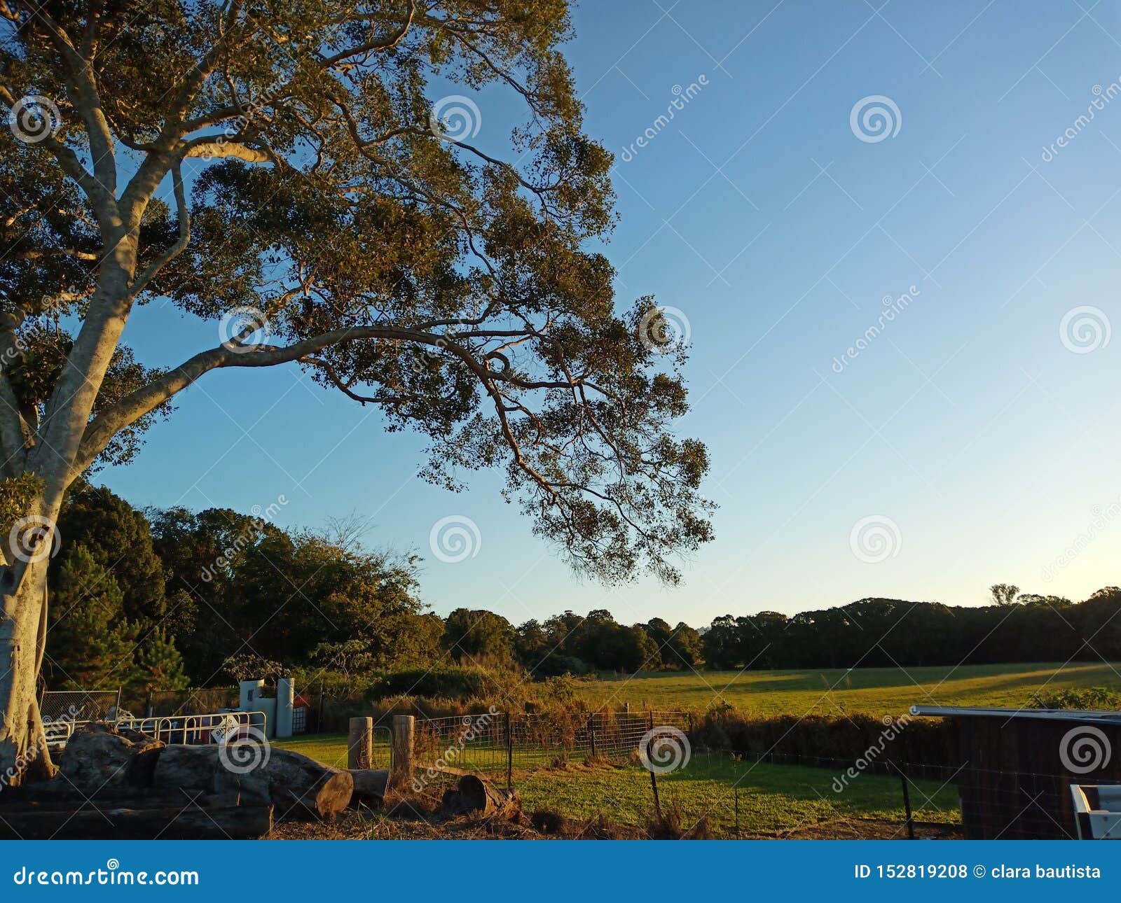Beautiful No Filter Needed Stock Photo Image Of Australia Beautiful 152819208