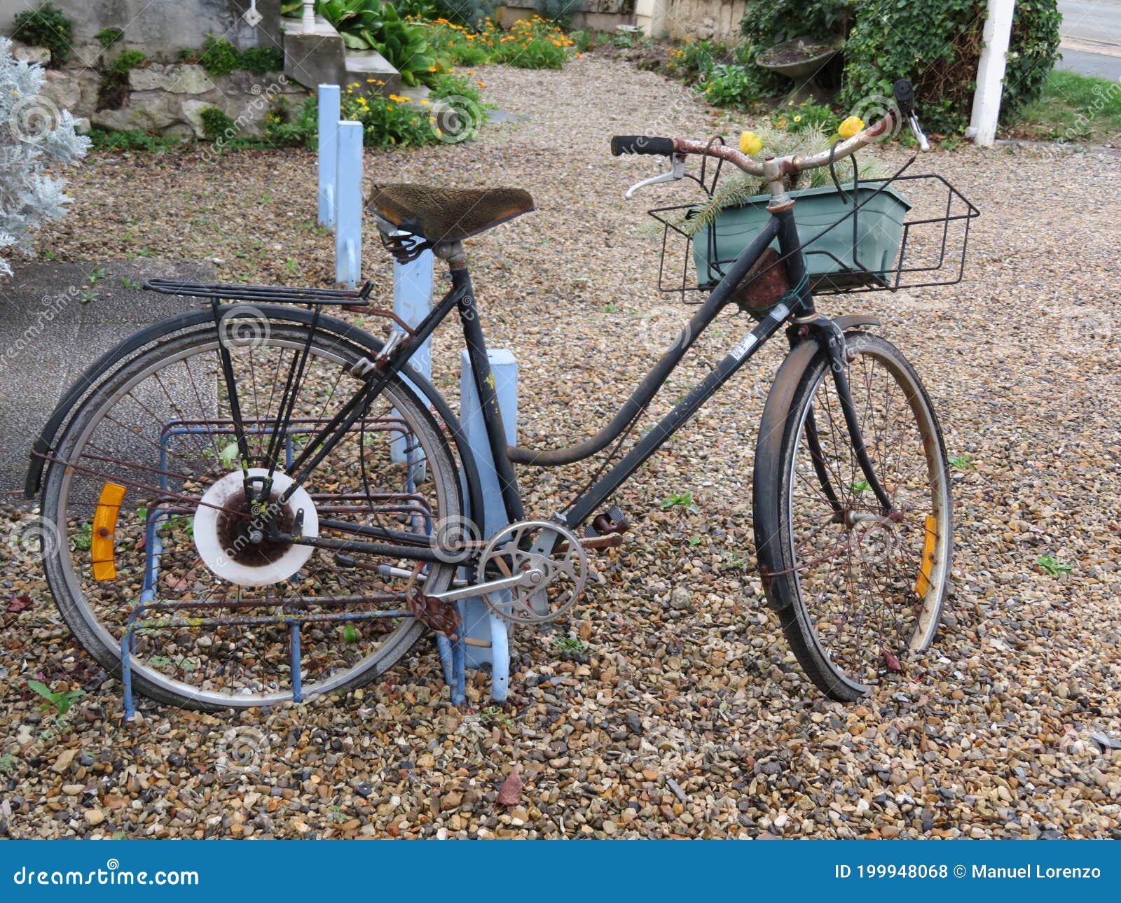 beautiful old bike bike used for gardener and decoration
