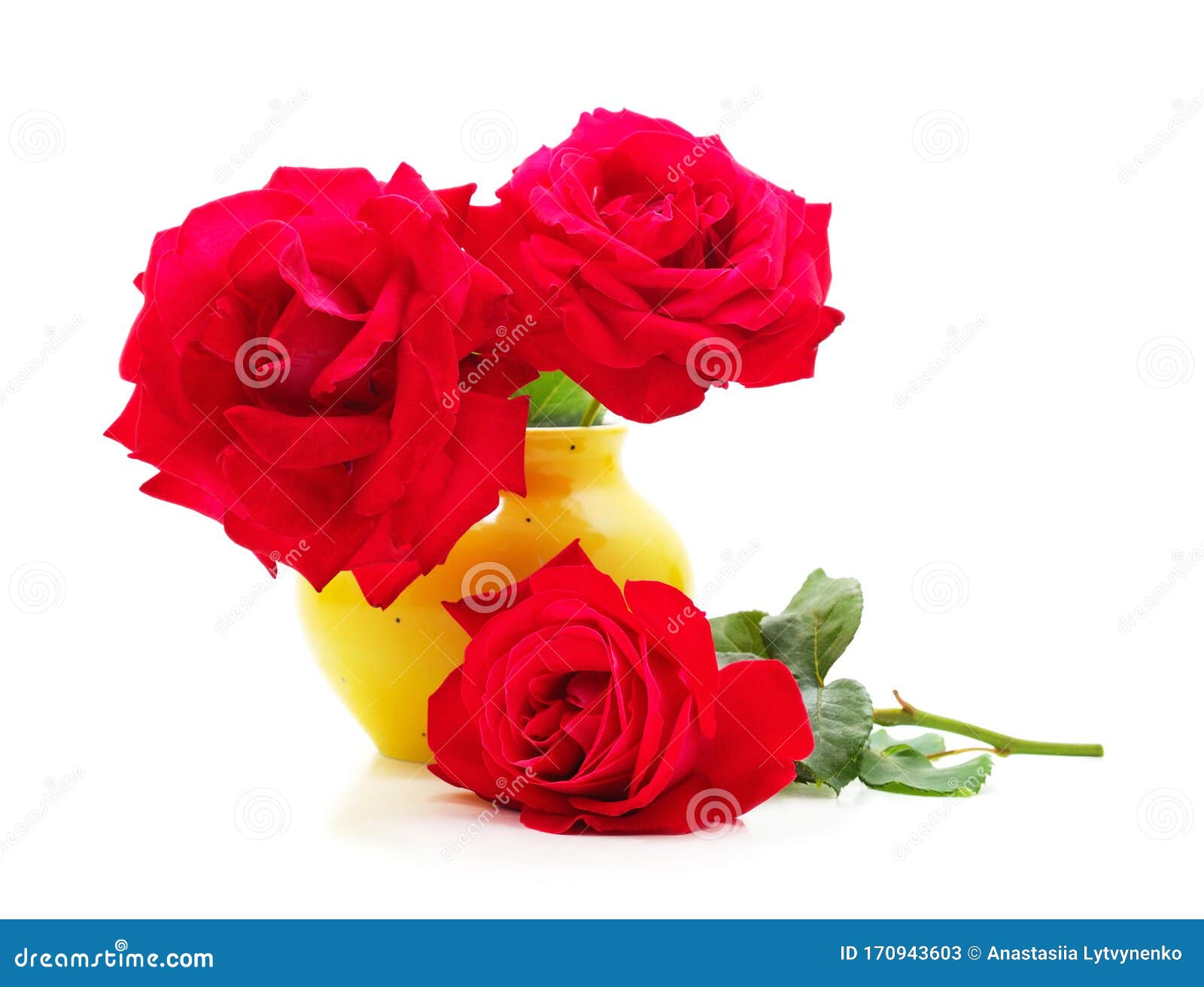 Beautiful Orange Flowers in the Vase Stock Image Image of holiday