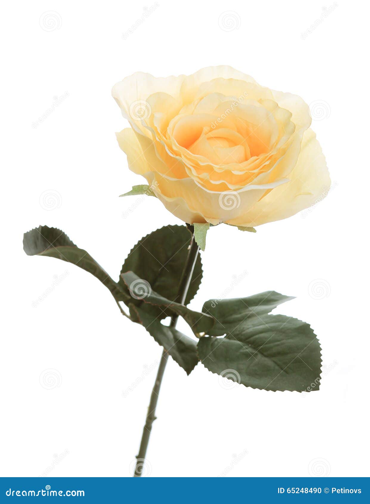 Beautiful Orange Rose, Artificial Flower Stock Photo Image of concept