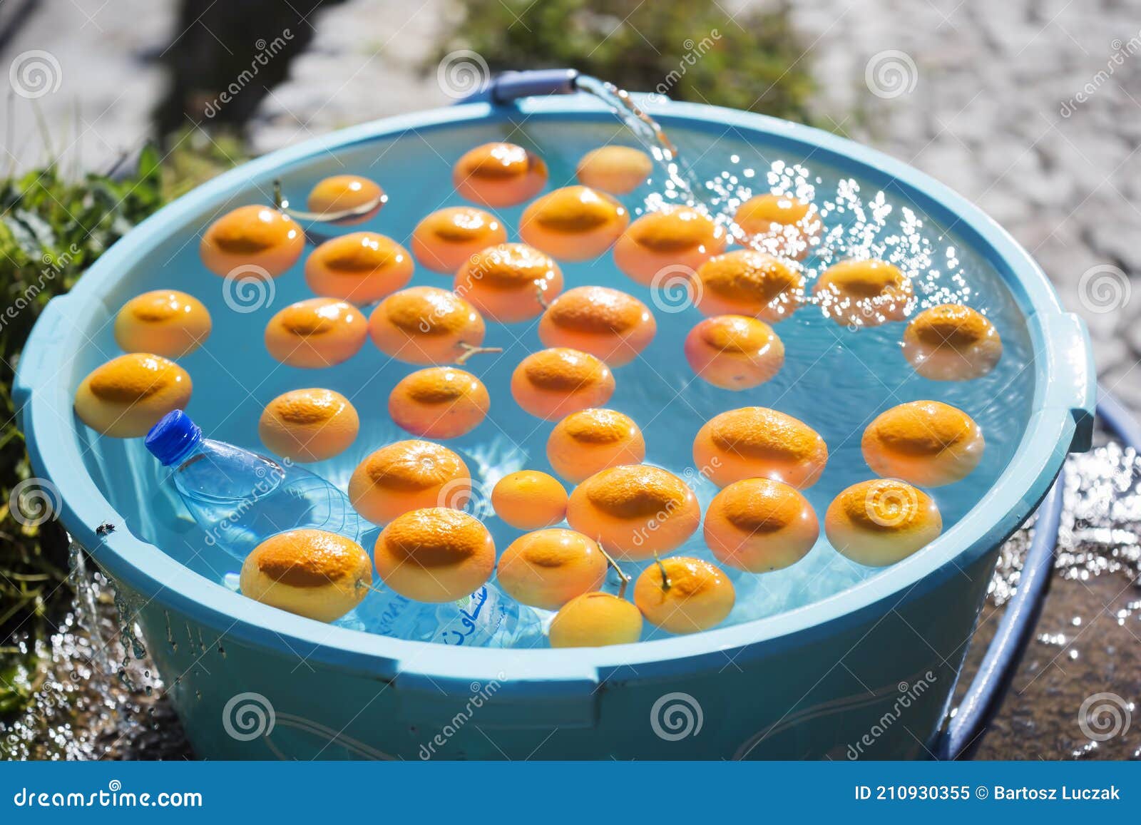 beautiful oranges cooling in bowl with water, chefchouen, morocco