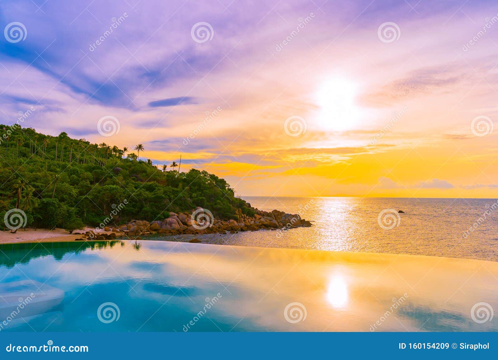 Beautiful Outdoor Infinity Swimming Pool With Coconut Palm Tree Around