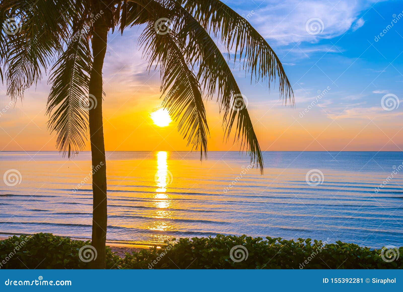 Sunrise On The Beach With Palm Trees