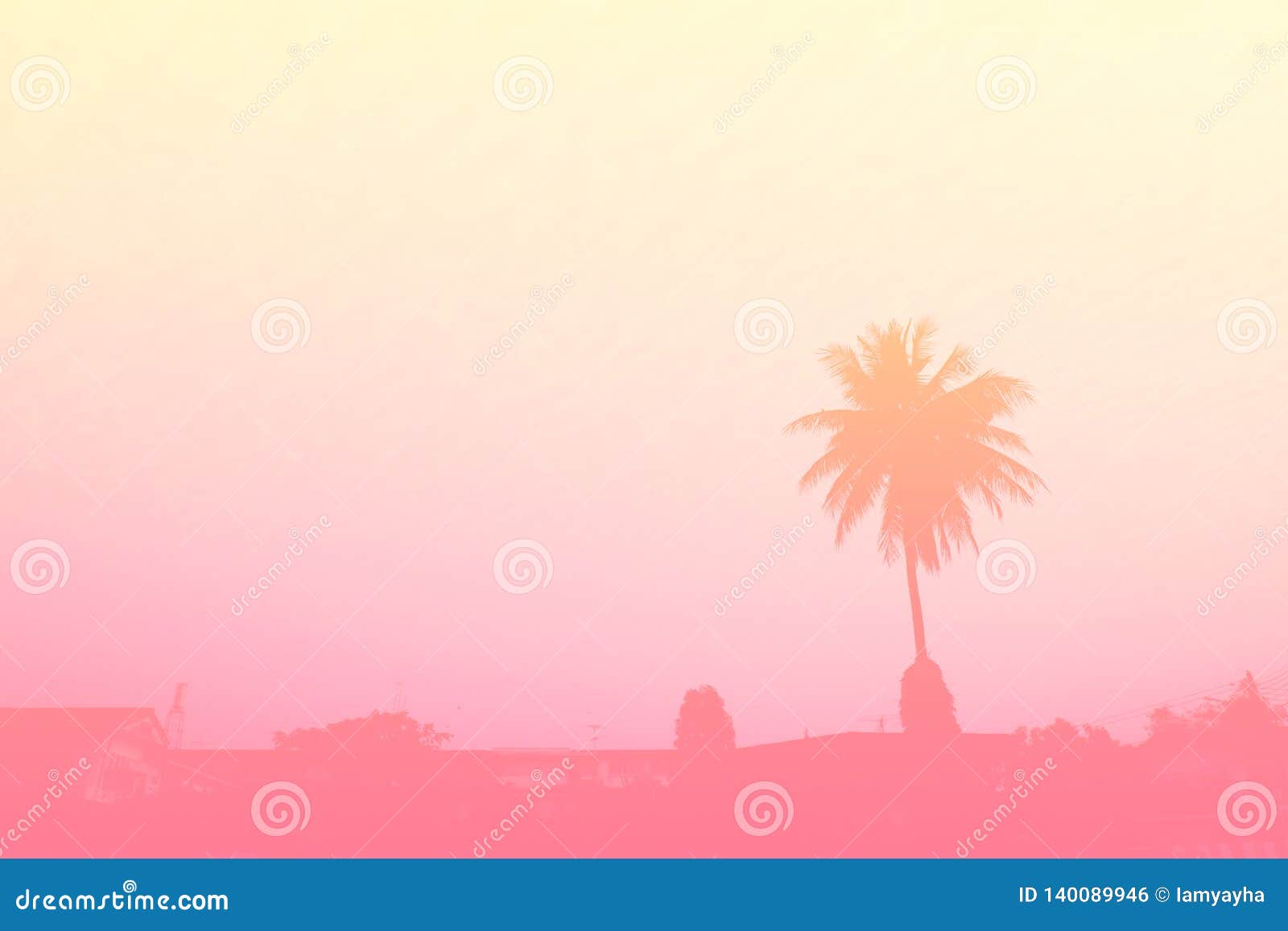 beautiful-palm-tree-pastel-tone-nature-copy-space-of-summer-minimal