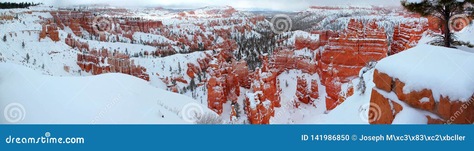 beautiful panoramic view of bryce canyon nationalpark with snow in winter with red rocks / utah / usa