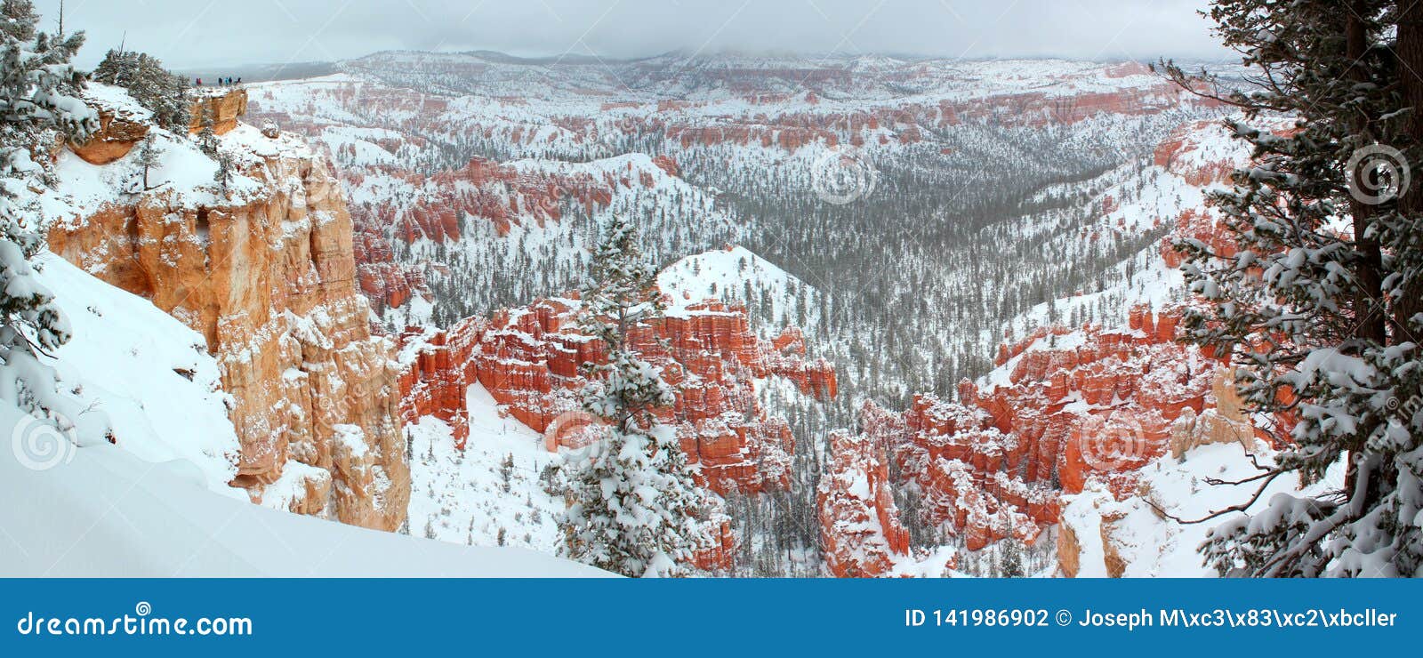 beautiful panoramic view of bryce canyon nationalpark with snow in winter with red rocks / utah / usa