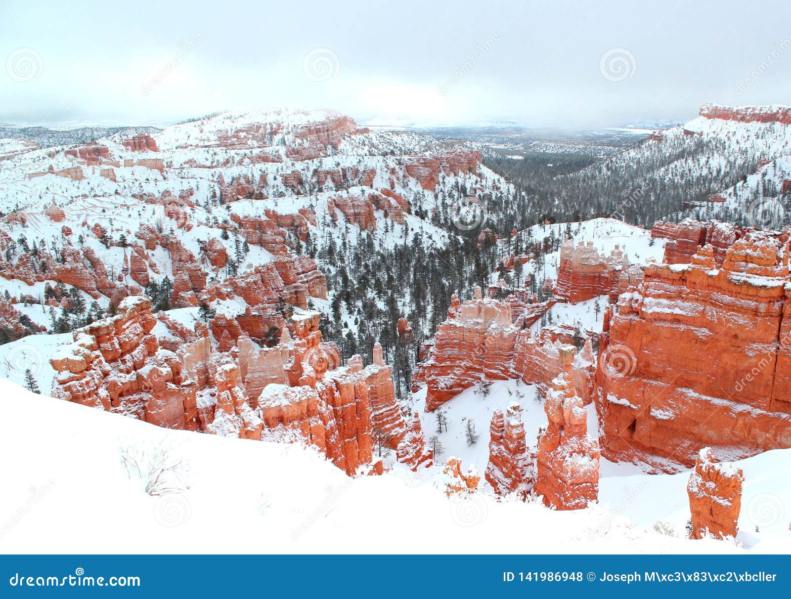beautiful panoramic view of bryce canyon nationalpark with snow in winter with red rocks / utah / usa