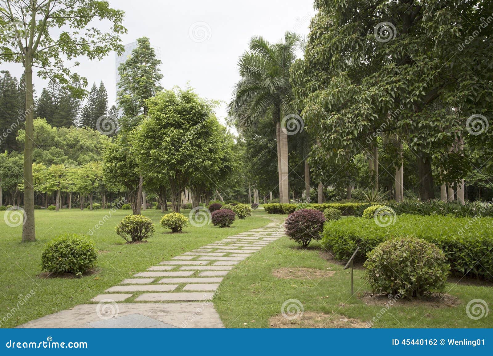 Beautiful Park in the City Background Stock Photo - Image of growing,  landscapes: 45440162