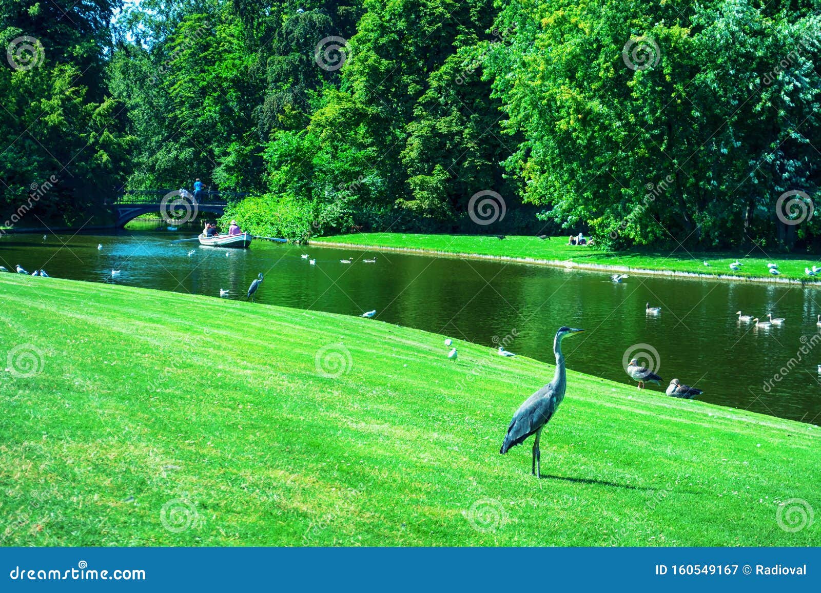 Beautiful Park with a Ducks and Beautiful Nature. Copenhagen. Denmark. Editorial Photography - Image copenhagen: 160549167