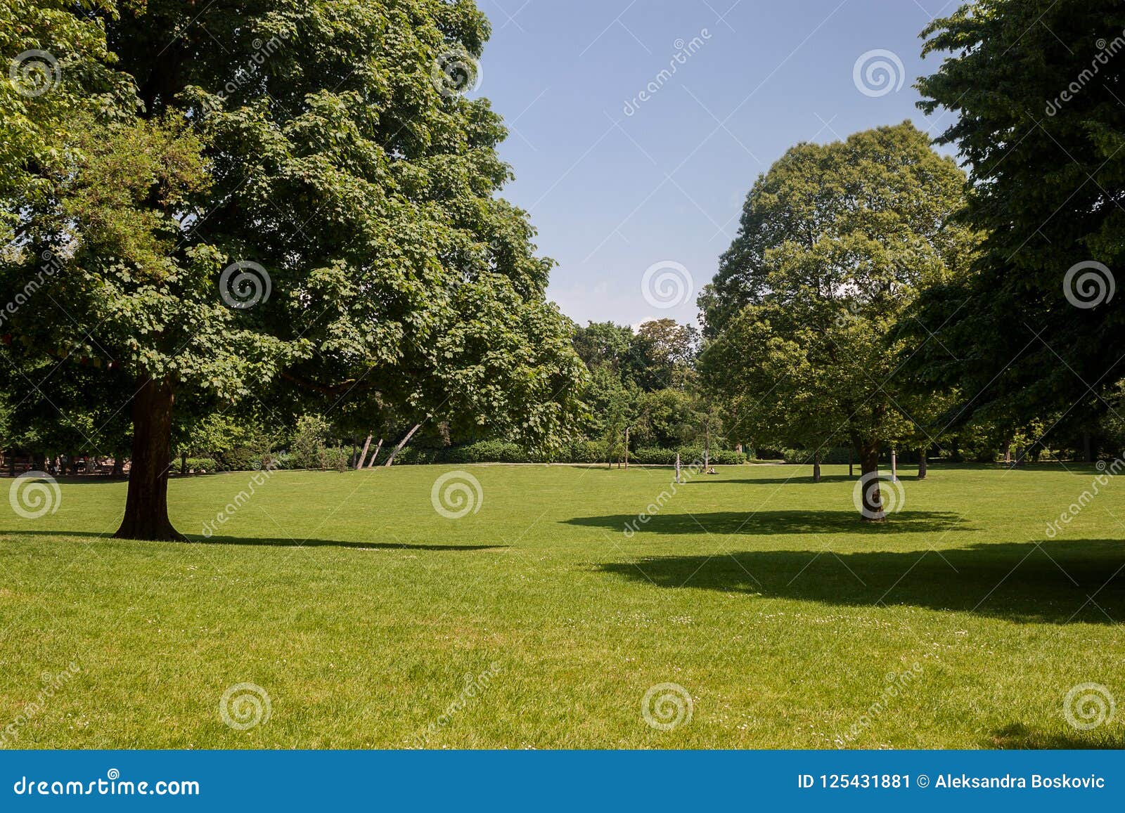 Beautiful park scene stock image. Image of green, nature - 125431881