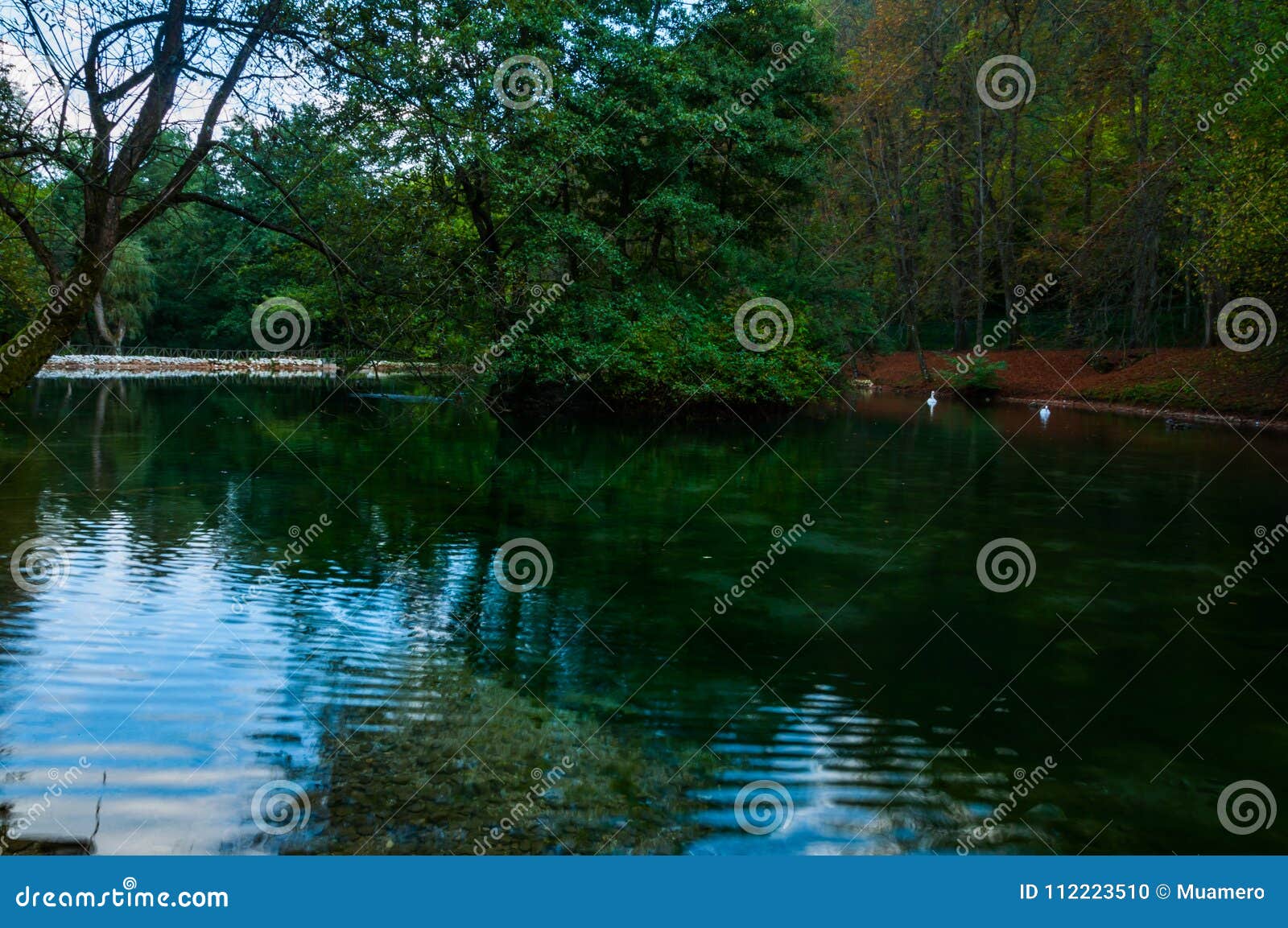 beautiful park vrelo bosne