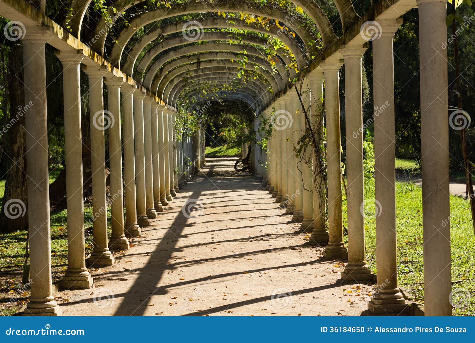 A Beautiful Passage in Botanical Garden Stock Photo Image of landmark