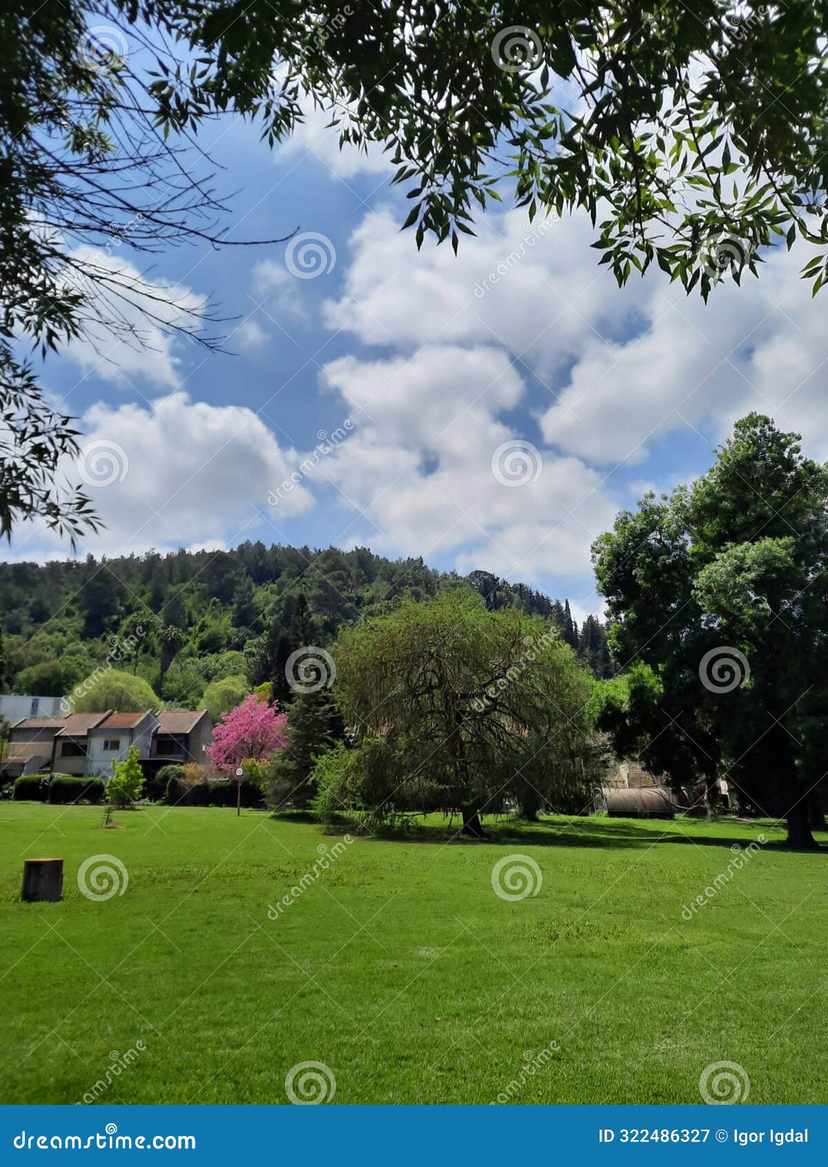 beautiful peaceful lawn in kibbutz hazore'a