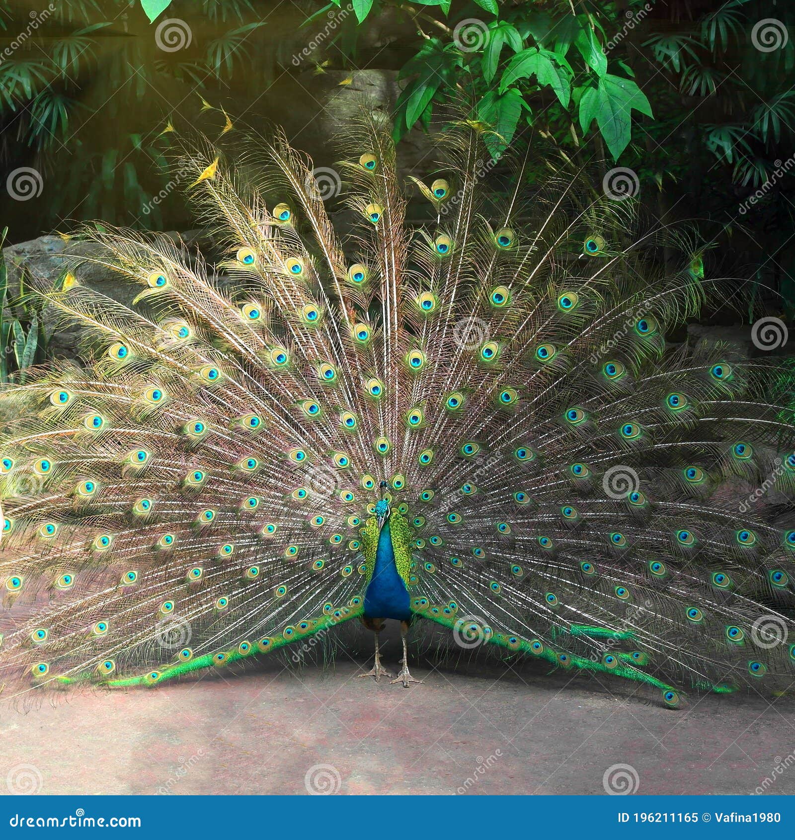 My Image 3