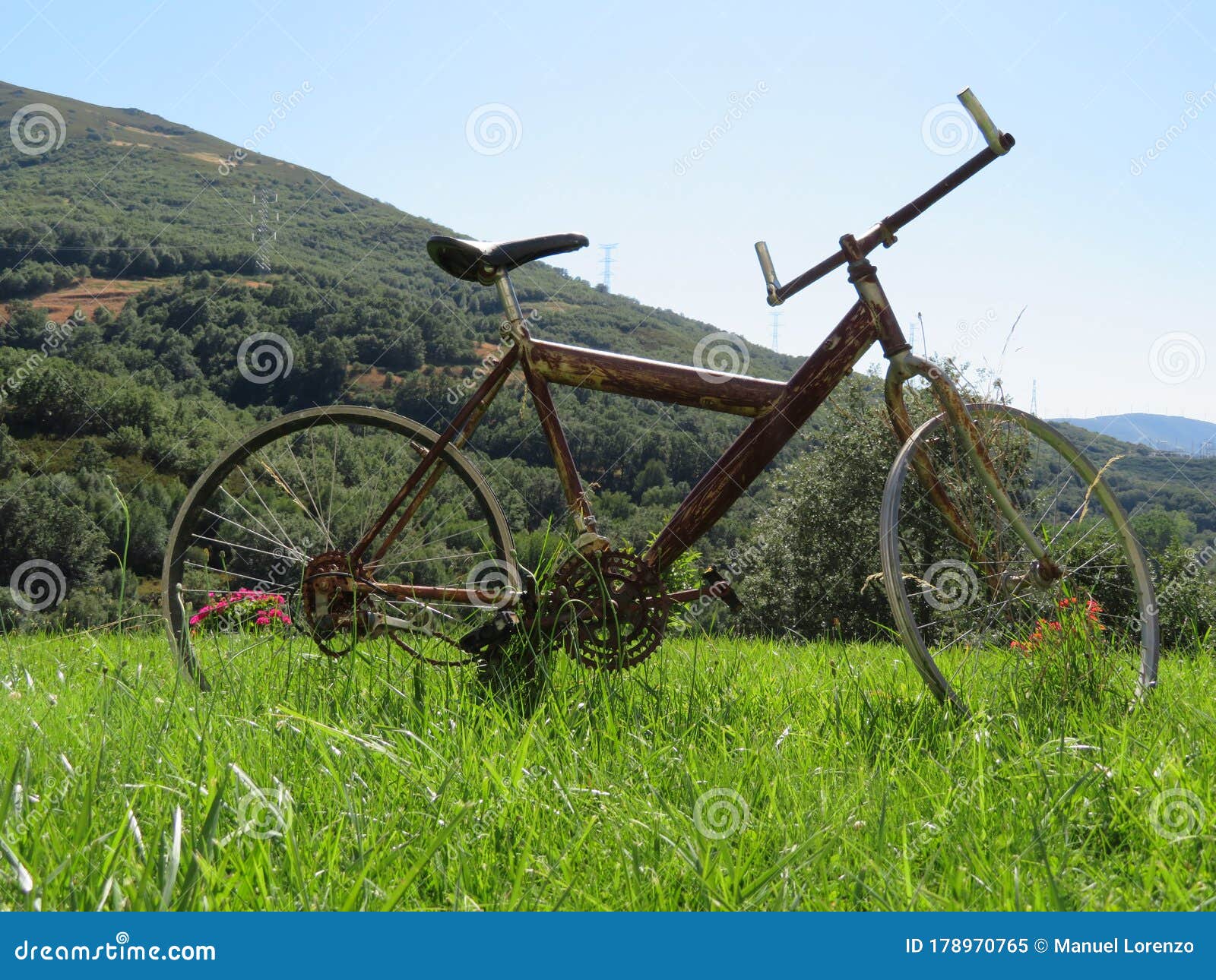 beautiful photo of a rusty old bicycle and abused